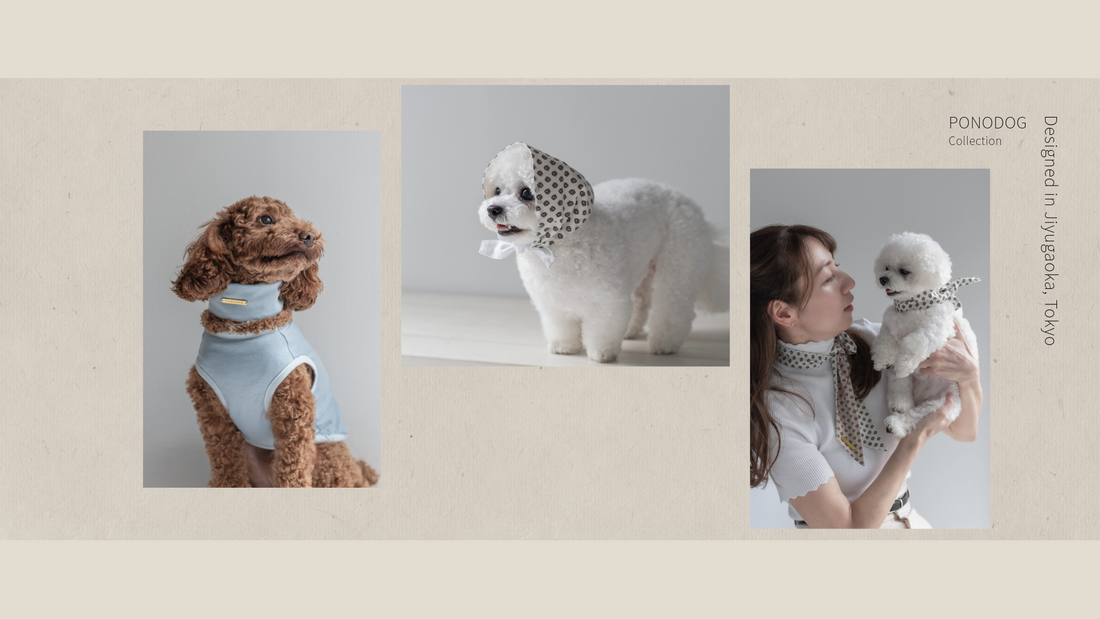 New Catalog