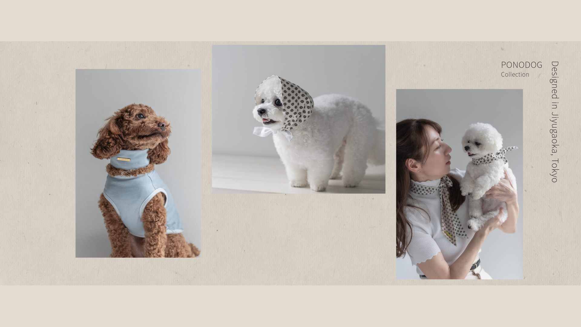 New Catalog