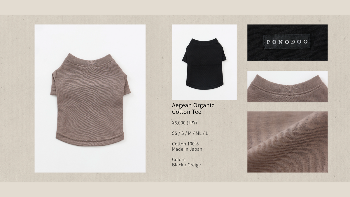 New Catalog