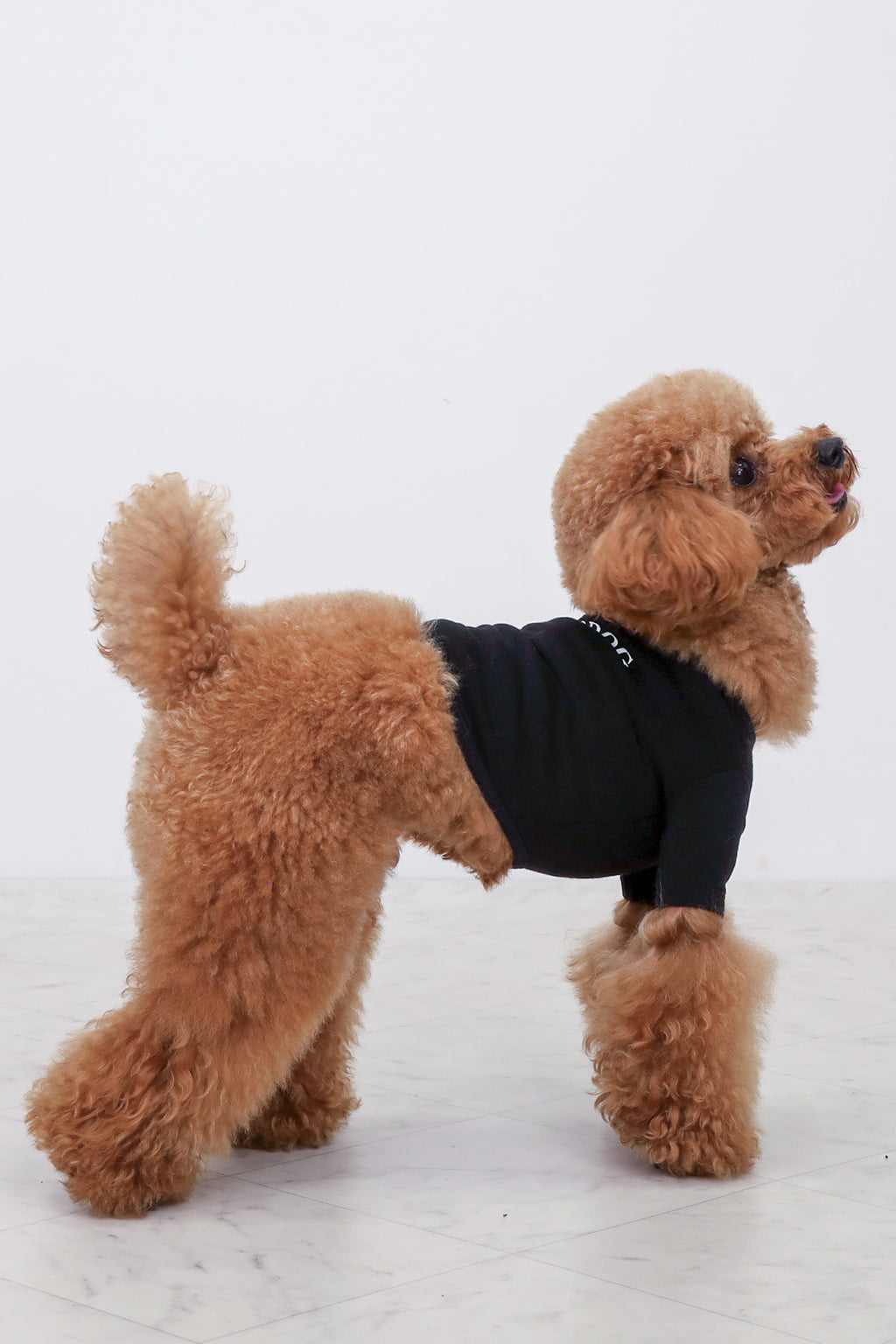 PONODOG Warm Logo Tee｜シンプルな日本製犬服・伸縮性に優れた吸湿発熱素材の犬用Tシャツ