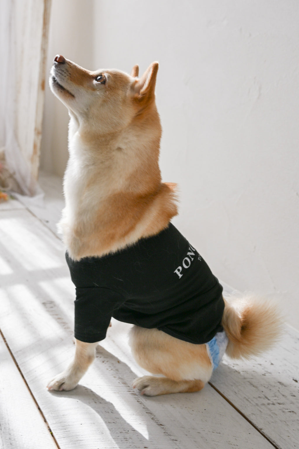 PONODOG Warm Logo Tee｜シンプルな日本製犬服・伸縮性に優れた吸湿発熱素材の犬用Tシャツ