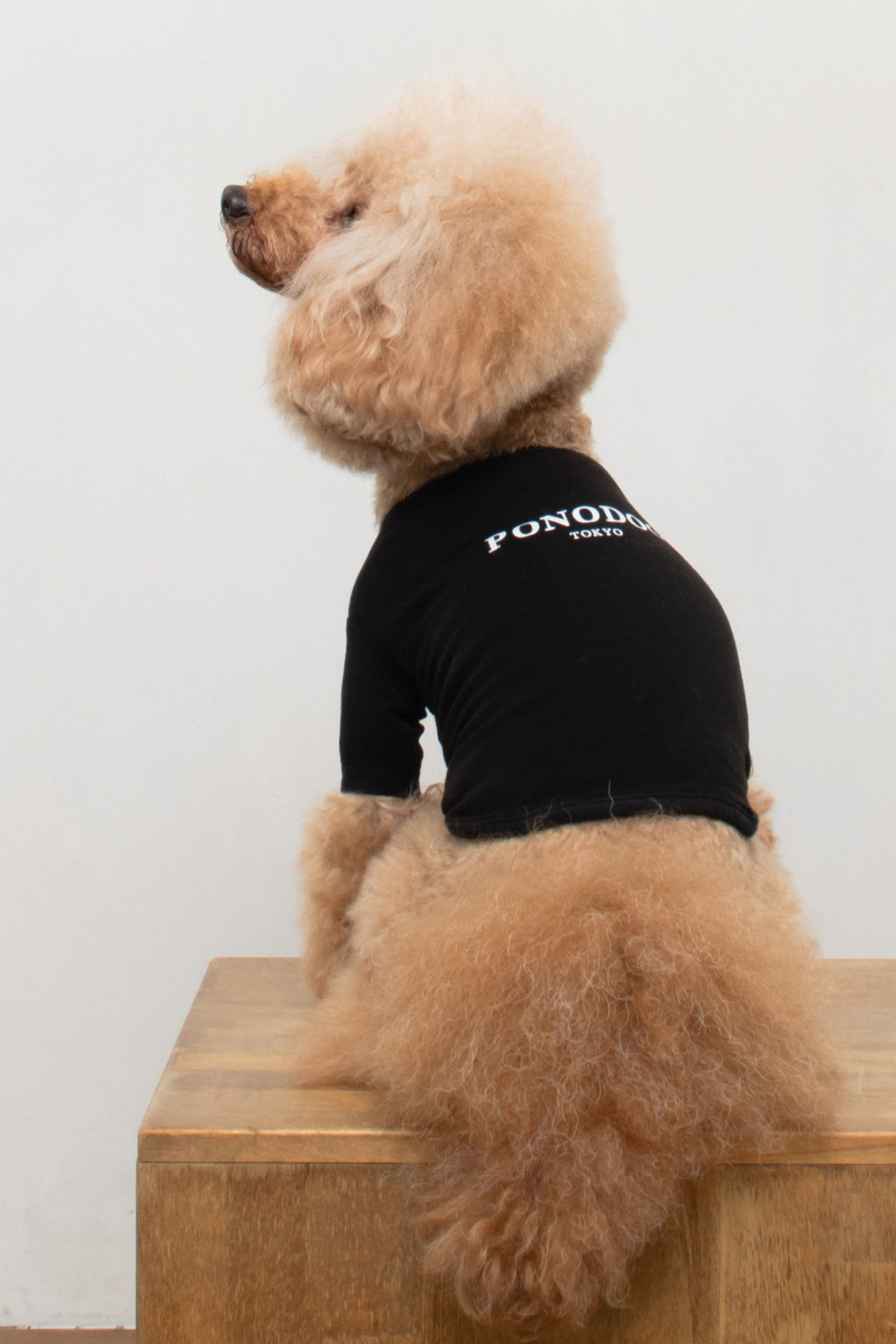 PONODOG Warm Logo Tee｜シンプルな日本製犬服・伸縮性に優れた吸湿発熱素材の犬用Tシャツ