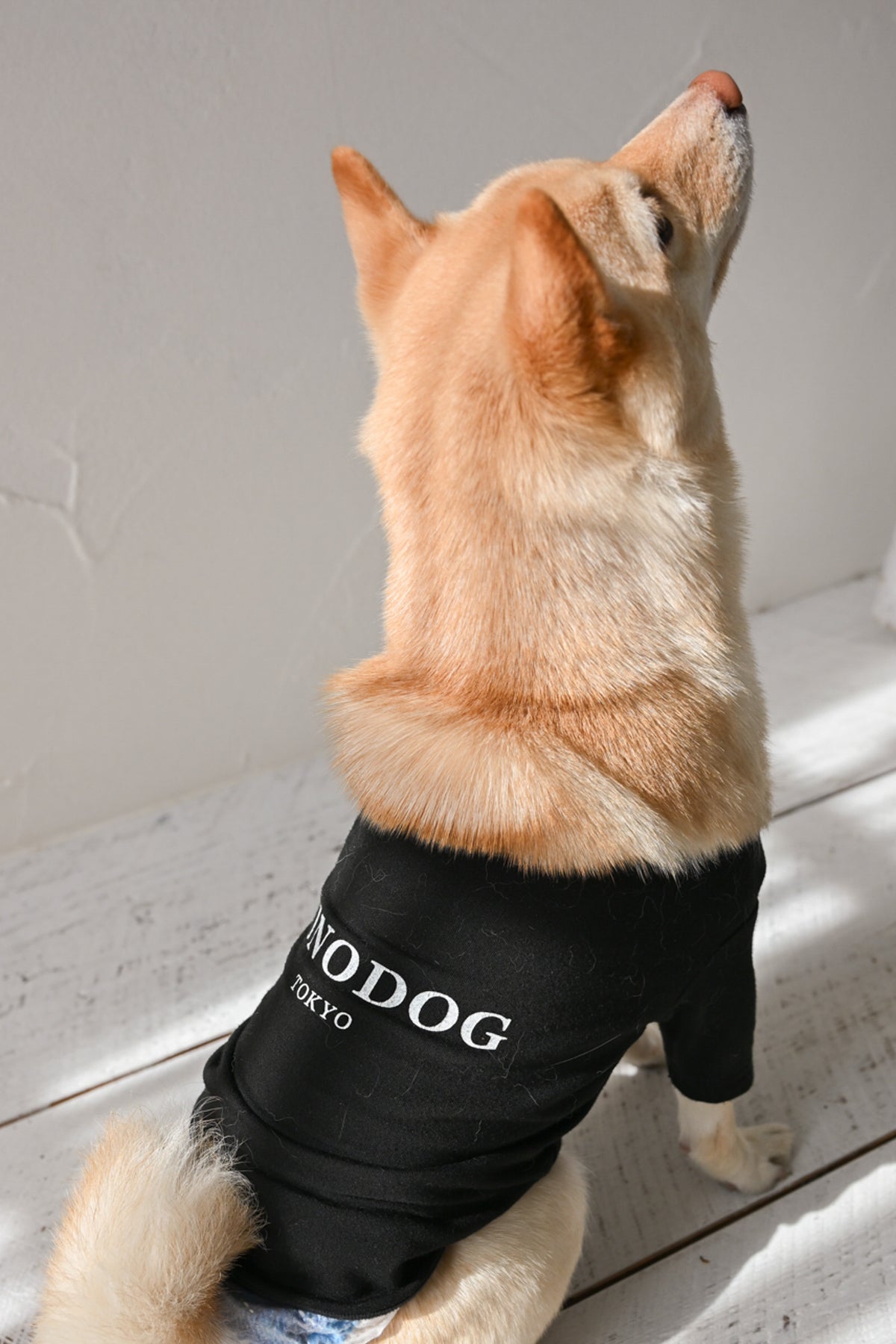 PONODOG Warm Logo Tee｜シンプルな日本製犬服・伸縮性に優れた吸湿発熱素材の犬用Tシャツ