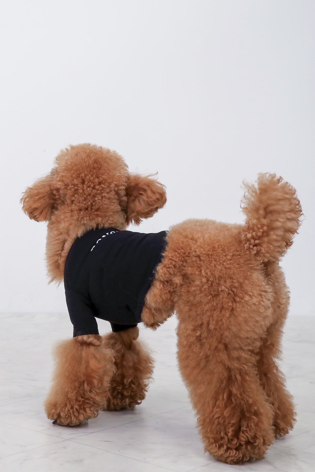 PONODOG Warm Logo Tee｜シンプルな日本製犬服・伸縮性に優れた吸湿発熱素材の犬用Tシャツ