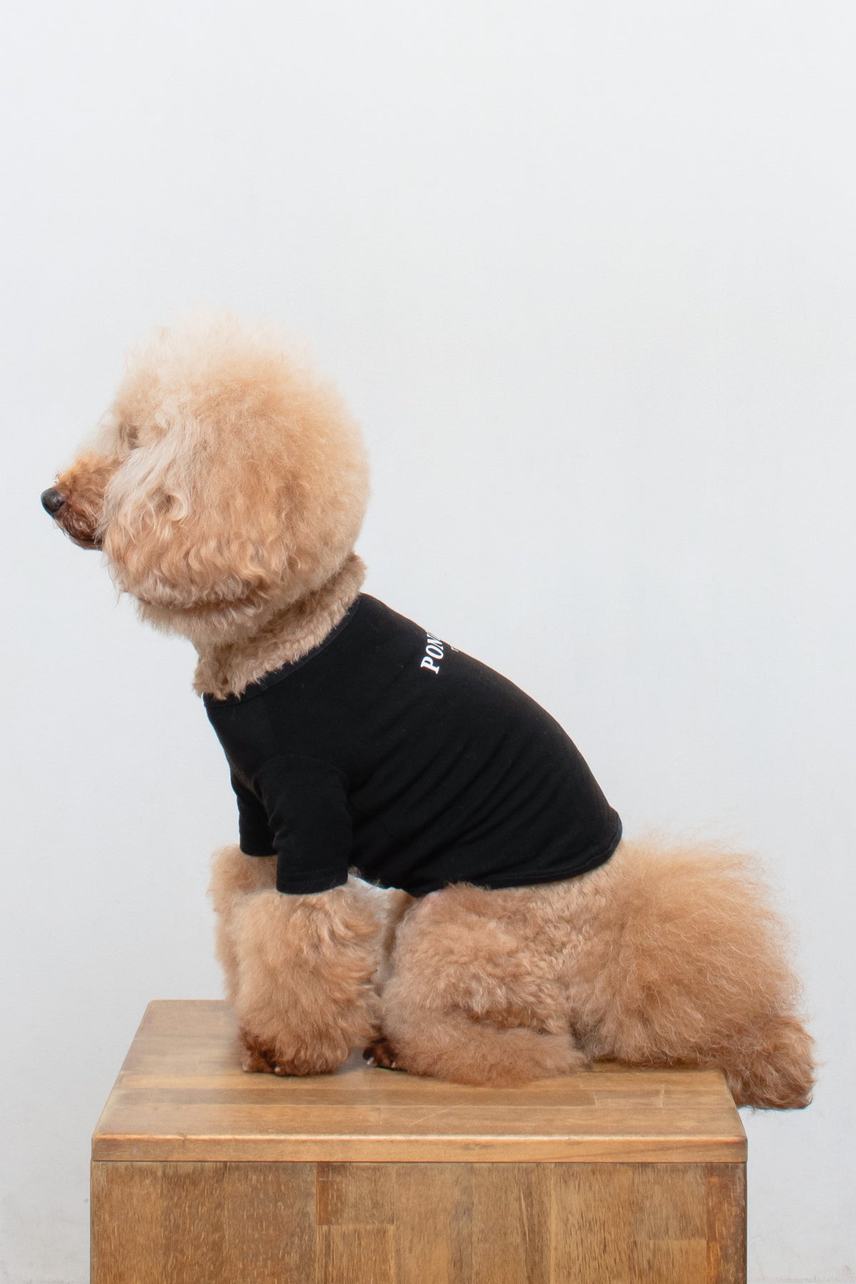 PONODOG Warm Logo Tee｜シンプルな日本製犬服・伸縮性に優れた吸湿発熱素材の犬用Tシャツ