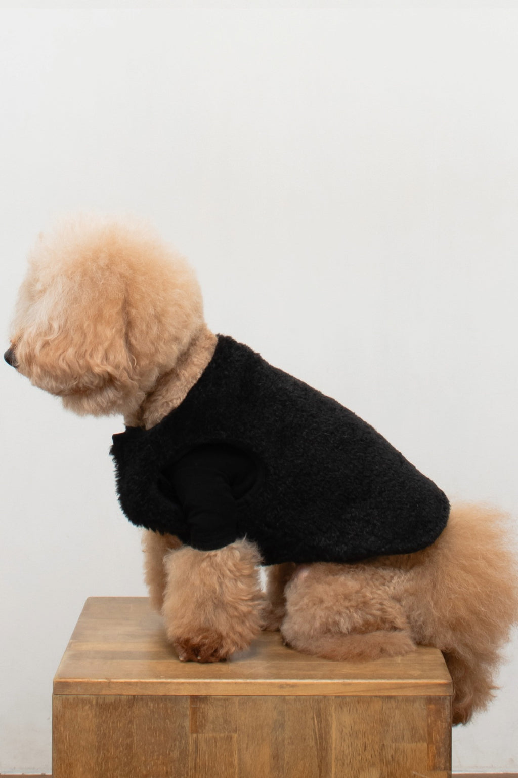 PONODOG Warm Logo Tee｜シンプルな日本製犬服・伸縮性に優れた吸湿発熱素材の犬用Tシャツ