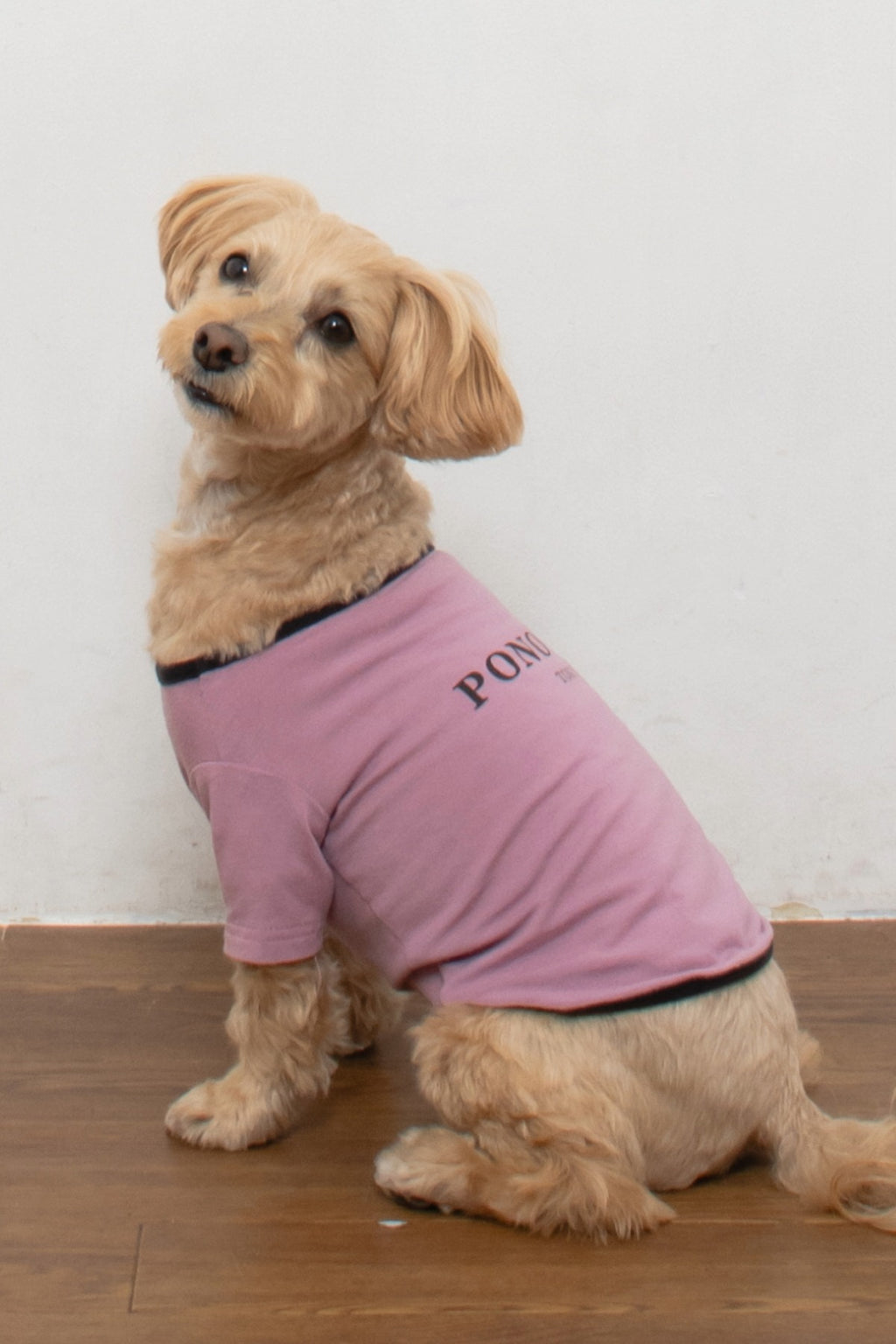 PONODOG Warm Logo Tee｜シンプルな日本製犬服・伸縮性に優れた吸湿発熱素材の犬用Tシャツ
