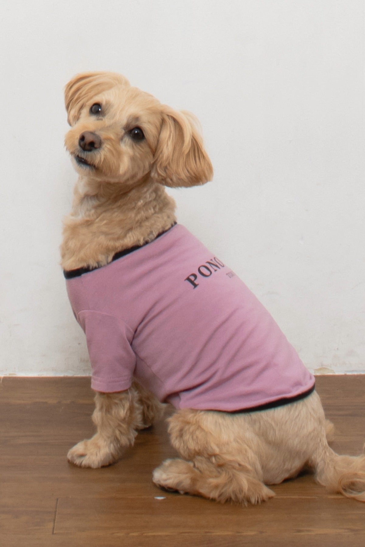 PONODOG Warm Logo Tee｜シンプルな日本製犬服・伸縮性に優れた吸湿発熱素材の犬用Tシャツ