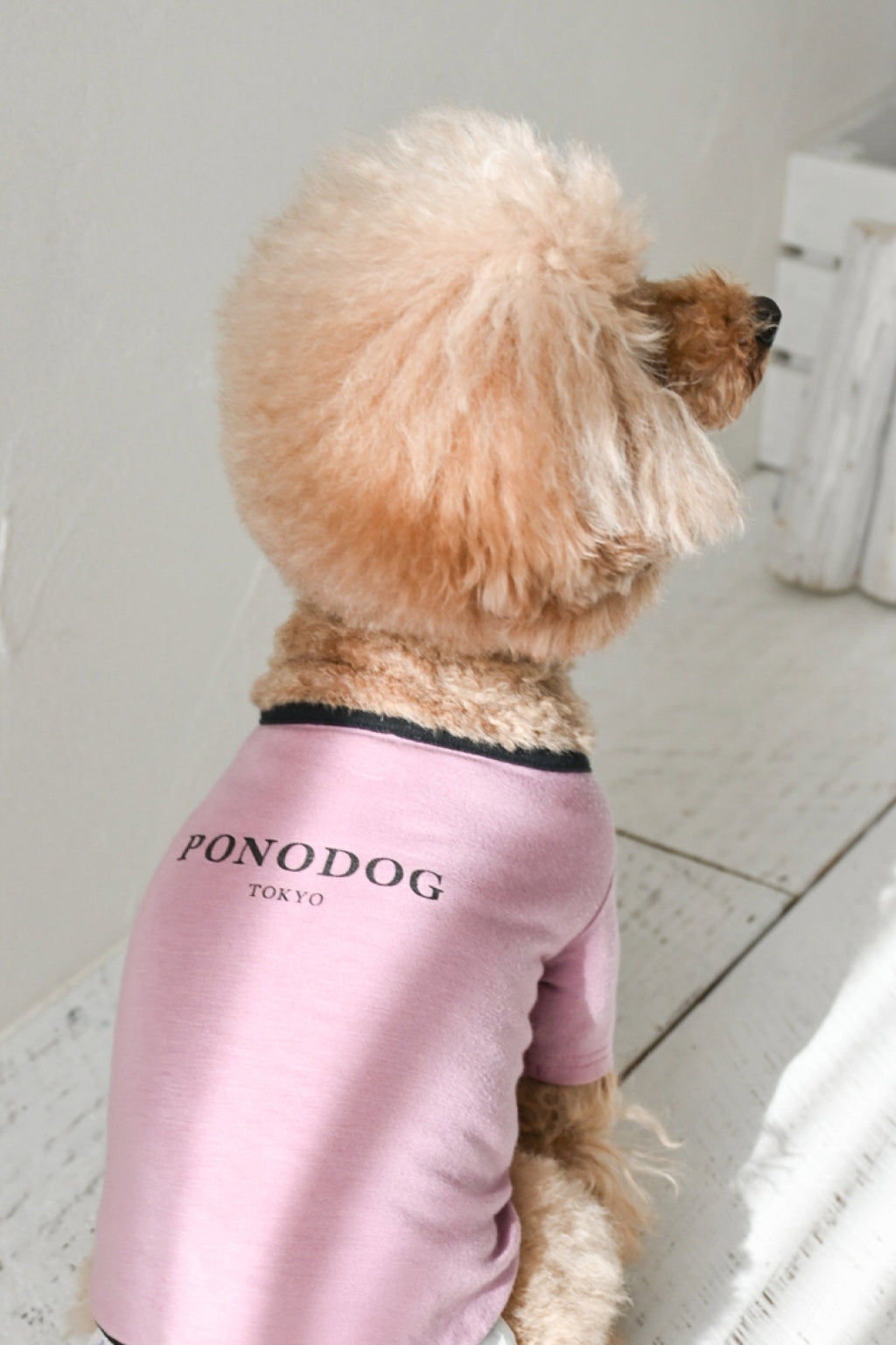 PONODOG Warm Logo Tee｜シンプルな日本製犬服・伸縮性に優れた吸湿発熱素材の犬用Tシャツ