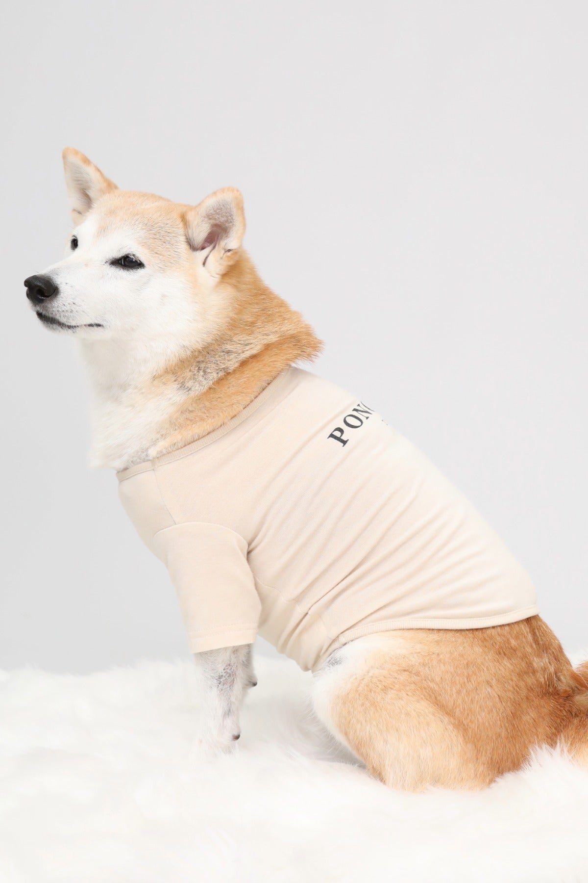 PONODOG Warm Logo Tee｜シンプルな日本製犬服・伸縮性に優れた吸湿発熱素材の犬用Tシャツ