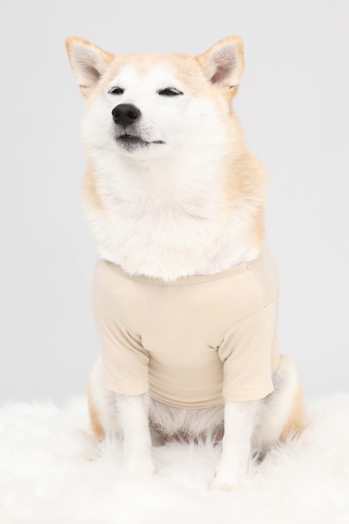 PONODOG Warm Logo Tee｜シンプルな日本製犬服・伸縮性に優れた吸湿発熱素材の犬用Tシャツ