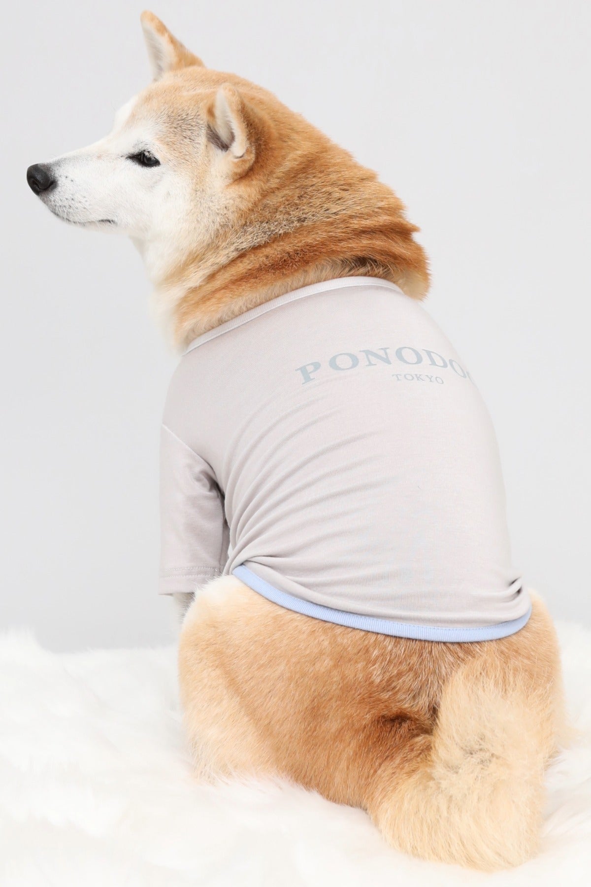 PONODOG Warm Logo Tee ライトグレー｜シンプルな日本製犬服・伸縮性のある吸湿発熱素材の犬用Tシャツ