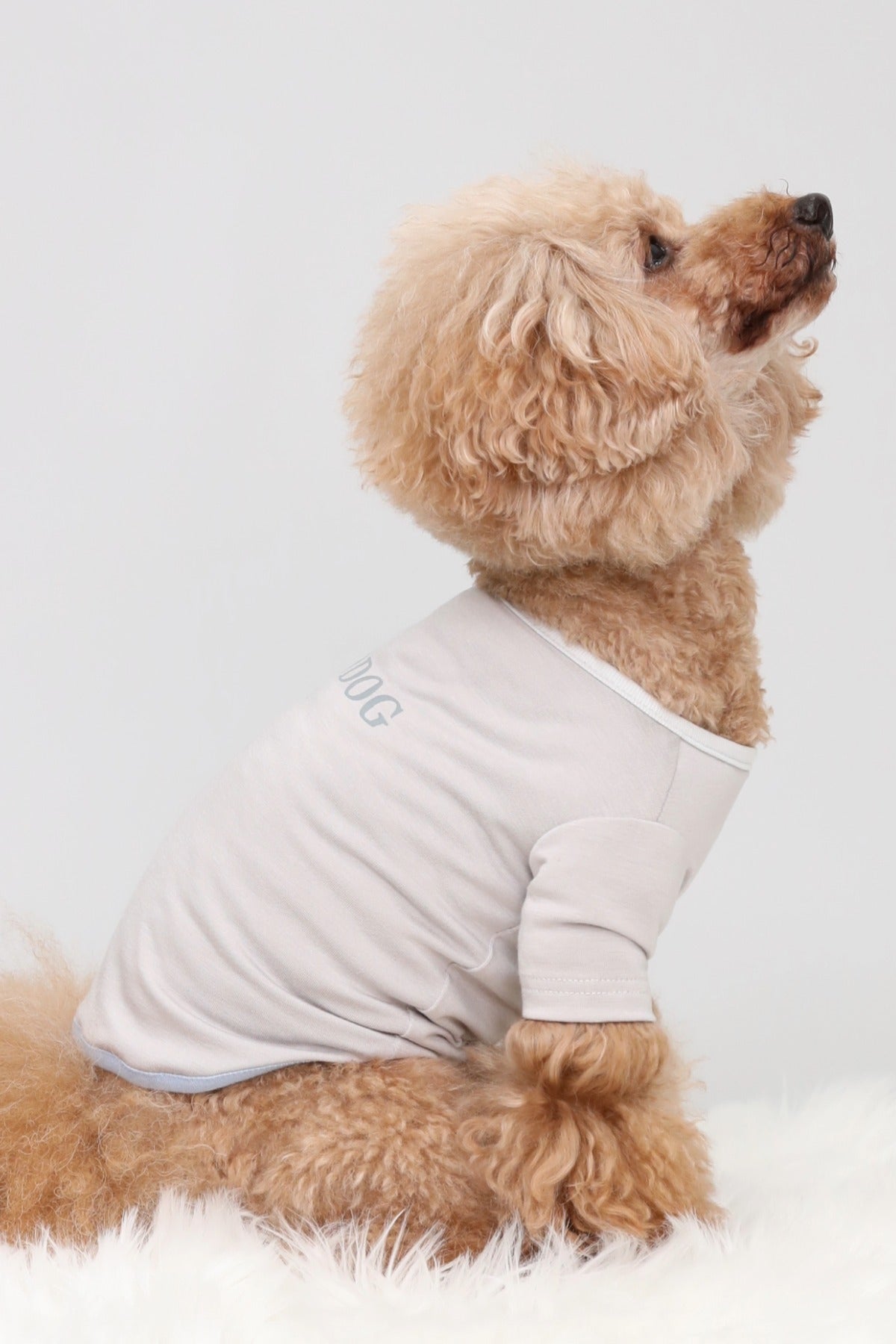 PONODOG Warm Logo Tee ライトグレー｜シンプルな日本製犬服・伸縮性のある吸湿発熱素材の犬用Tシャツ
