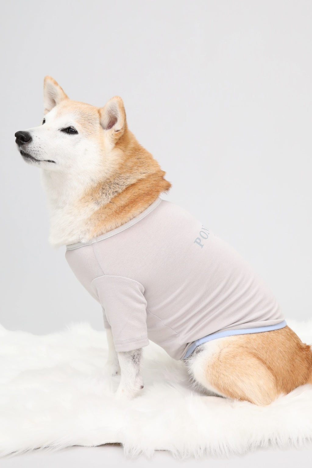 PONODOG Warm Logo Tee ライトグレー｜シンプルな日本製犬服・伸縮性のある吸湿発熱素材の犬用Tシャツ
