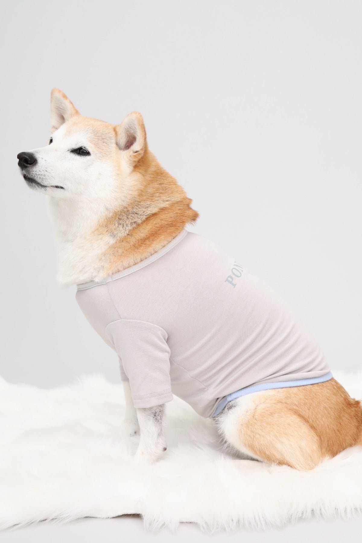 PONODOG Warm Logo Tee ライトグレー｜シンプルな日本製犬服・伸縮性のある吸湿発熱素材の犬用Tシャツ