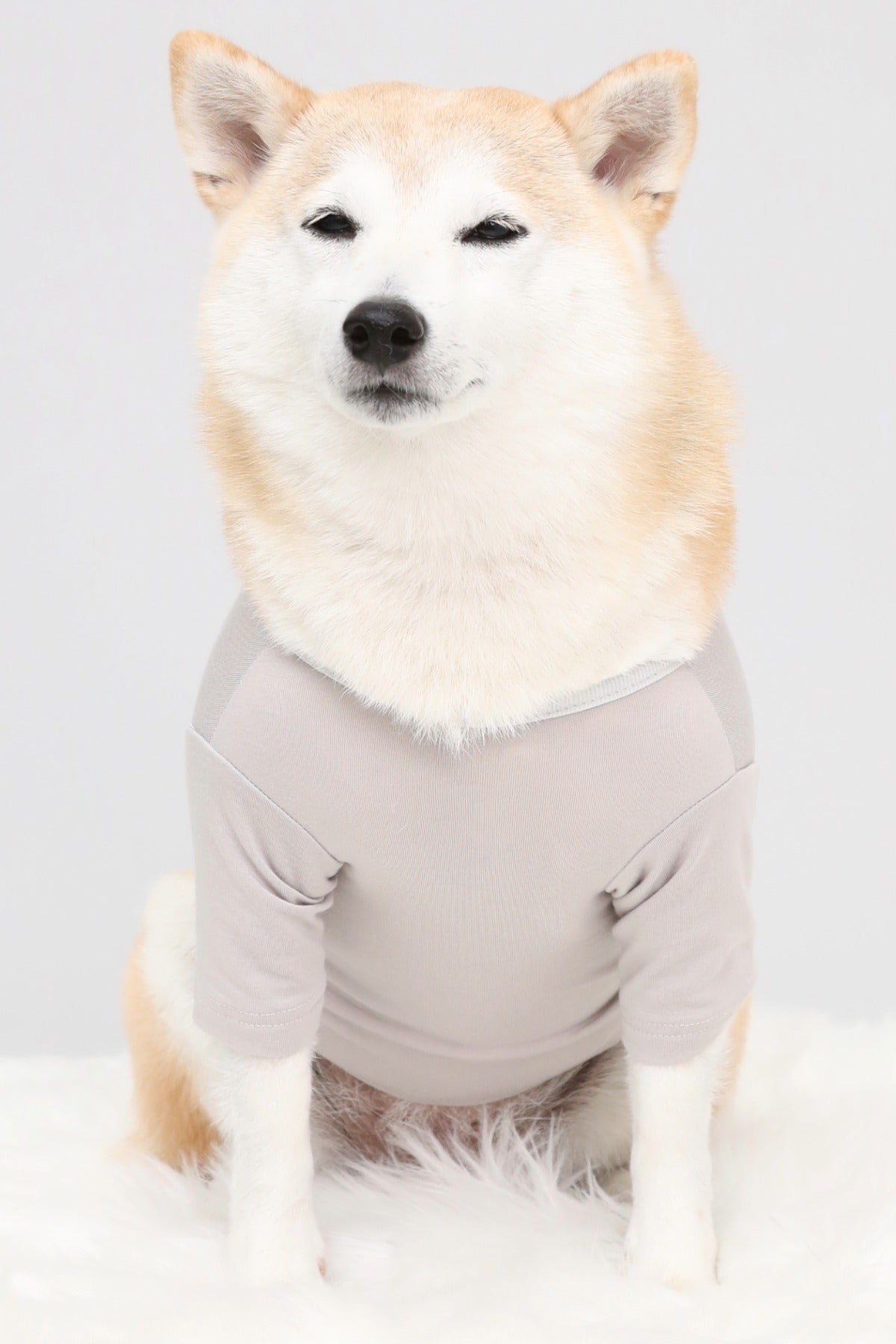 PONODOG Warm Logo Tee ライトグレー｜シンプルな日本製犬服・伸縮性のある吸湿発熱素材の犬用Tシャツ