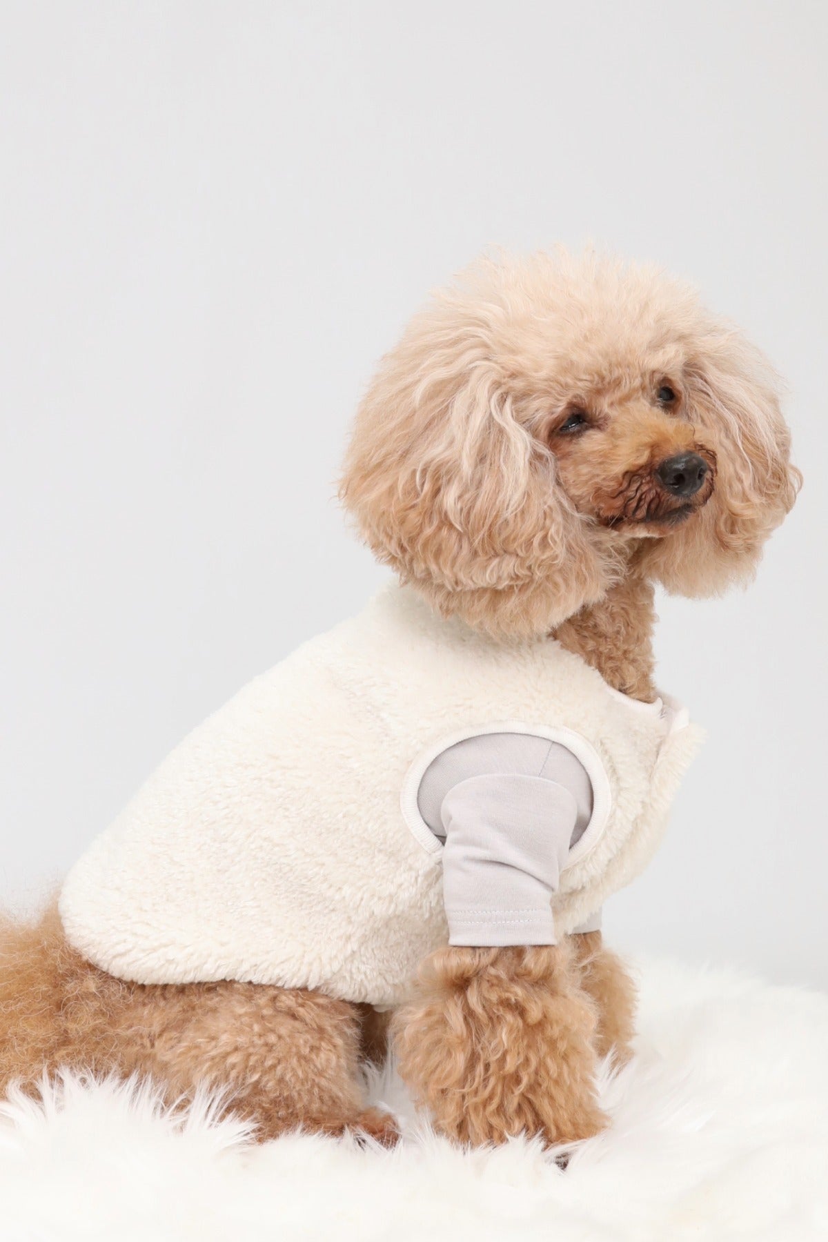 PONODOG Warm Logo Tee ライトグレー｜シンプルな日本製犬服・伸縮性のある吸湿発熱素材の犬用Tシャツ