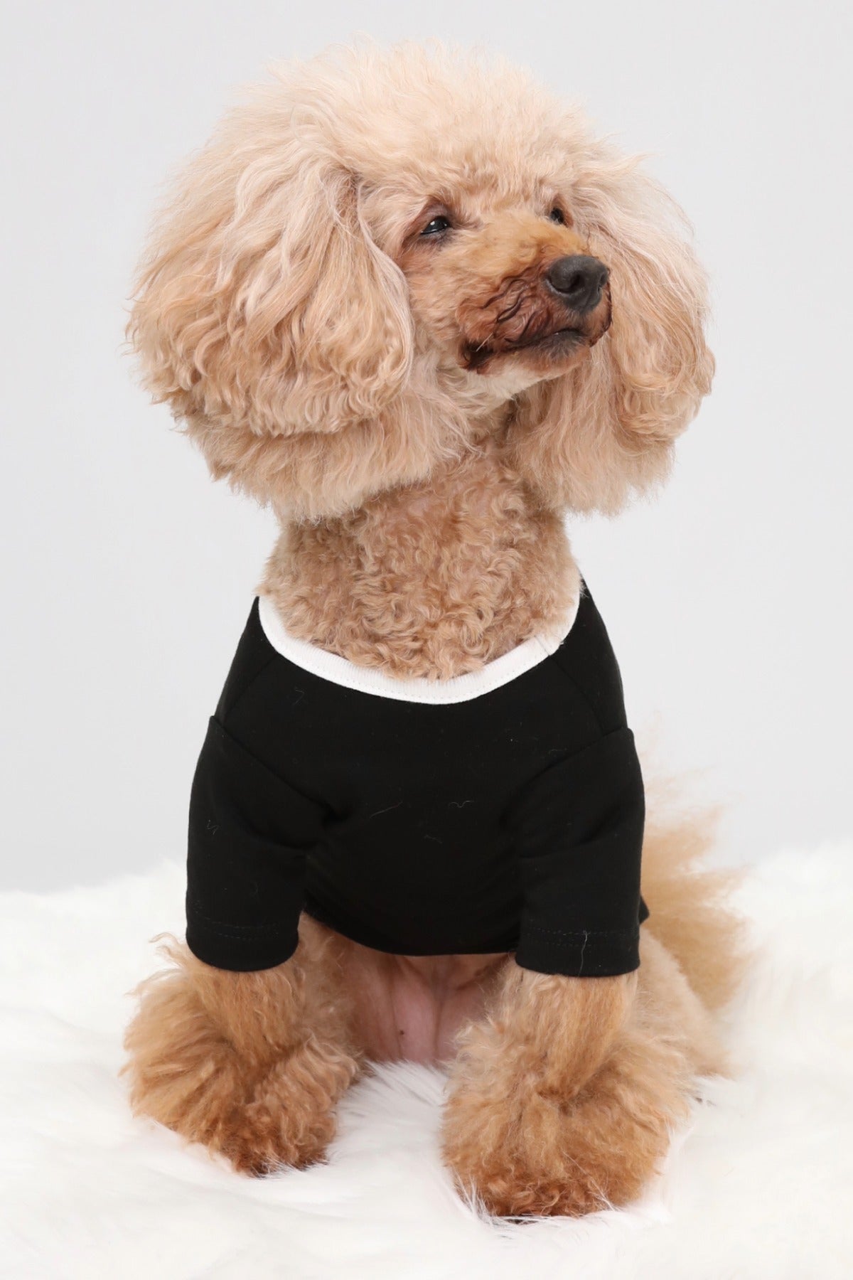 PONODOG Warm Logo Tee シャドウホワイト｜シンプルな日本製犬服・伸縮性のある吸湿発熱素材の犬用Tシャツ