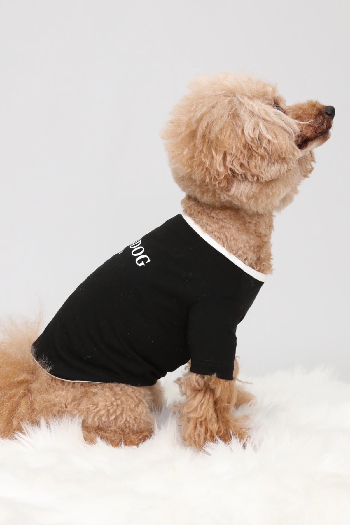 PONODOG Warm Logo Tee シャドウホワイト｜シンプルな日本製犬服・伸縮性のある吸湿発熱素材の犬用Tシャツ