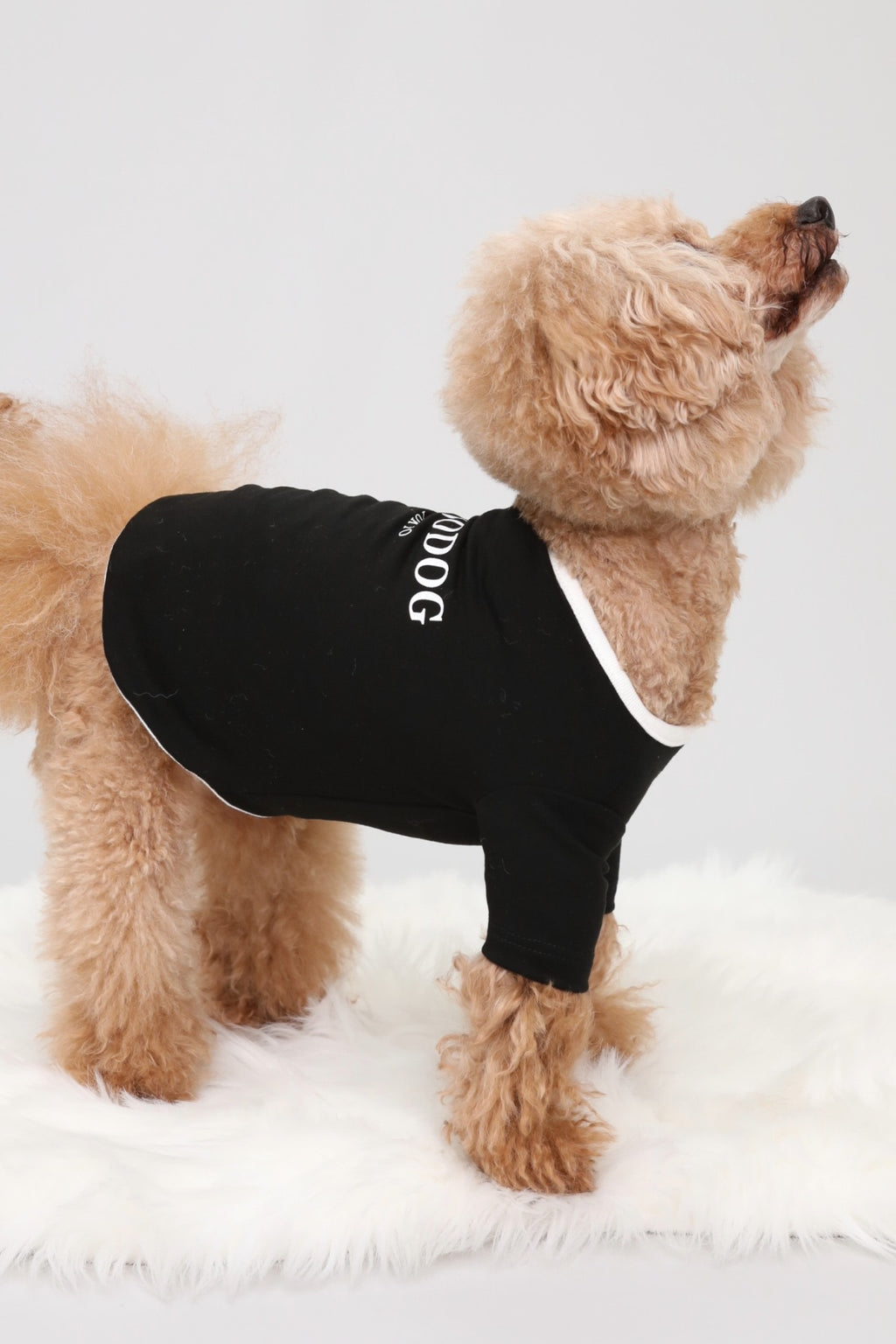 PONODOG Warm Logo Tee シャドウホワイト｜シンプルな日本製犬服・伸縮性のある吸湿発熱素材の犬用Tシャツ