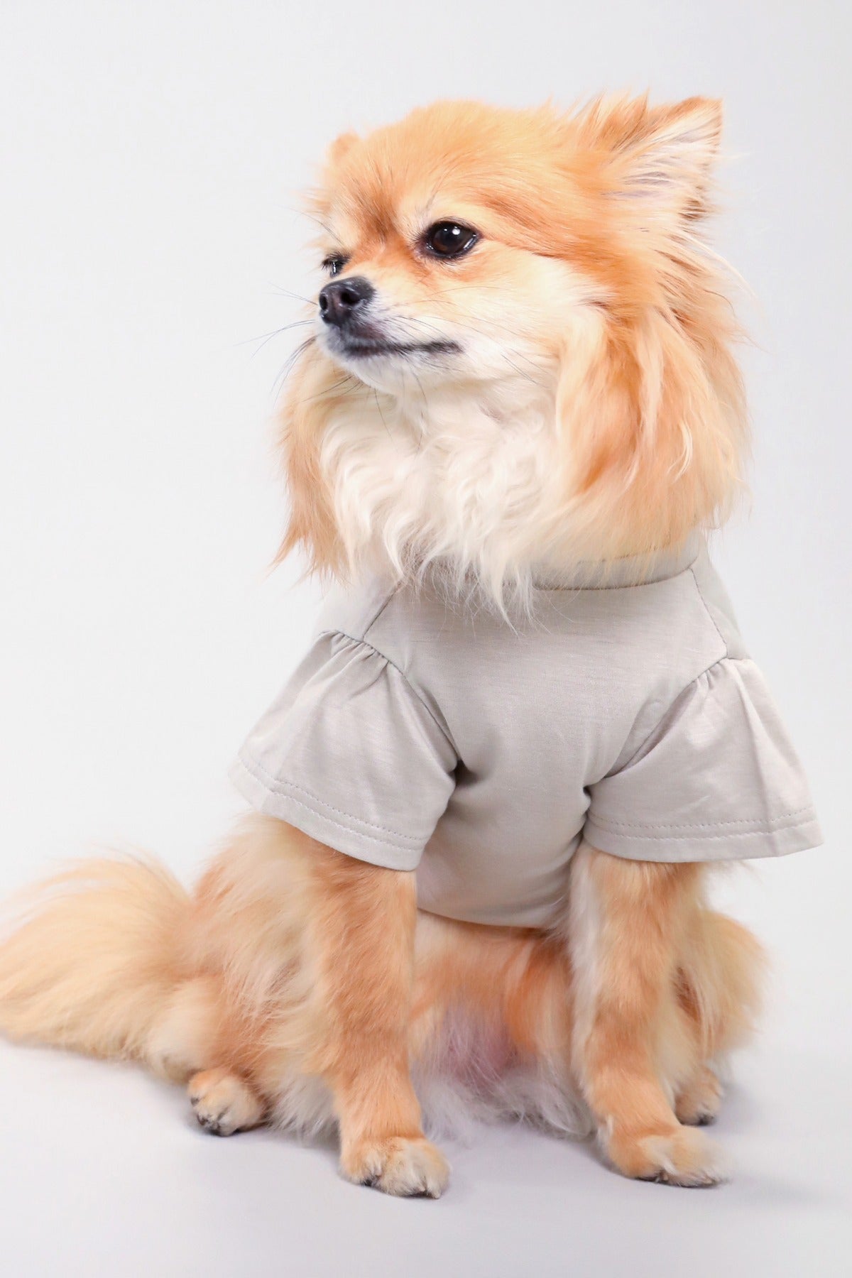 PONODOG Icy Chill Tee Charcoal｜接触冷感素材を使用した日本製の犬服。ゆったりした首まわりと短めのパフスリーブが特徴の、軽くてやわらかなチャコールの犬用Tシャツ。