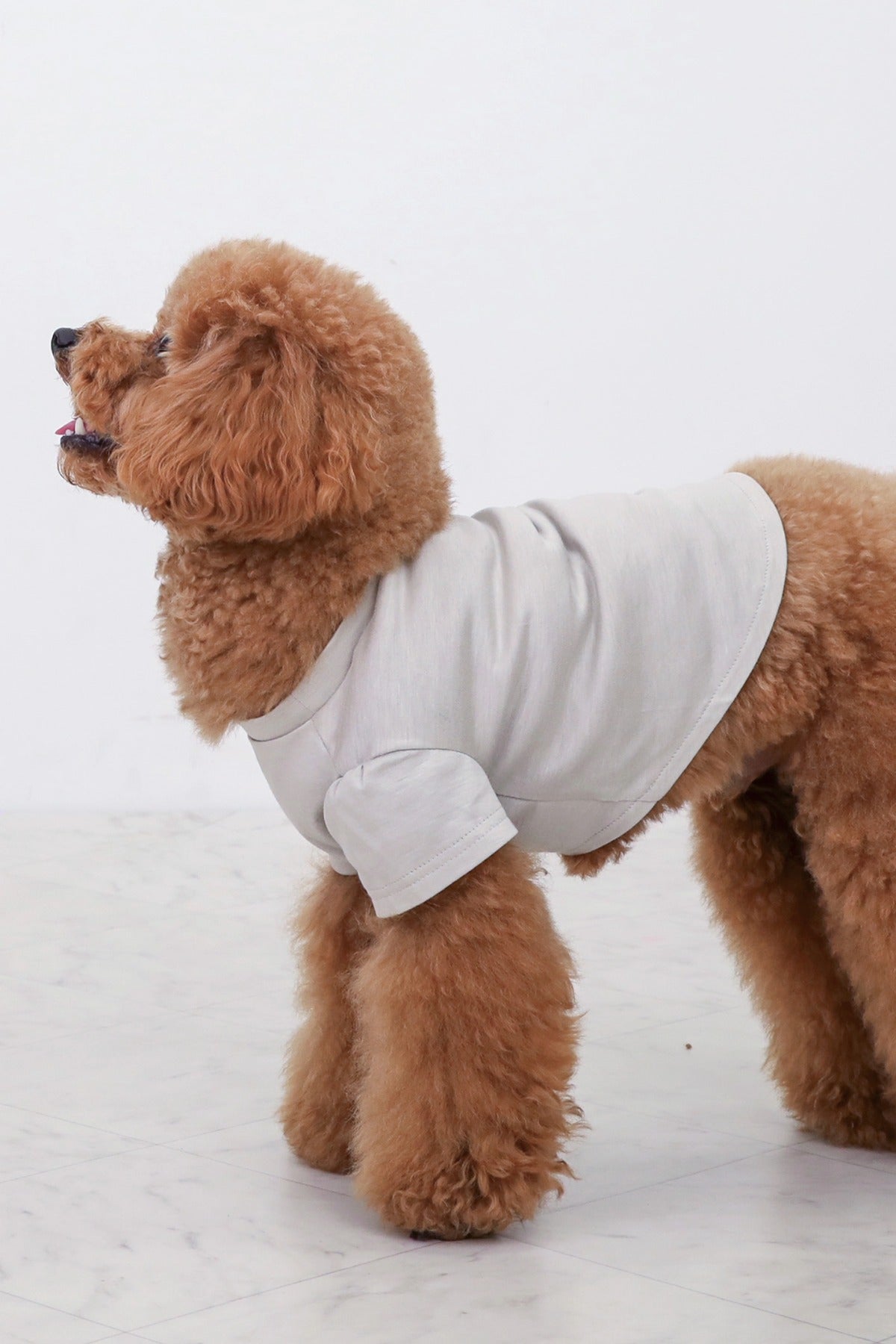 PONODOG Icy Chill Tee Charcoal｜接触冷感素材を使用した日本製の犬服。ゆったりした首まわりと短めのパフスリーブが特徴の、軽くてやわらかなチャコールの犬用Tシャツ。