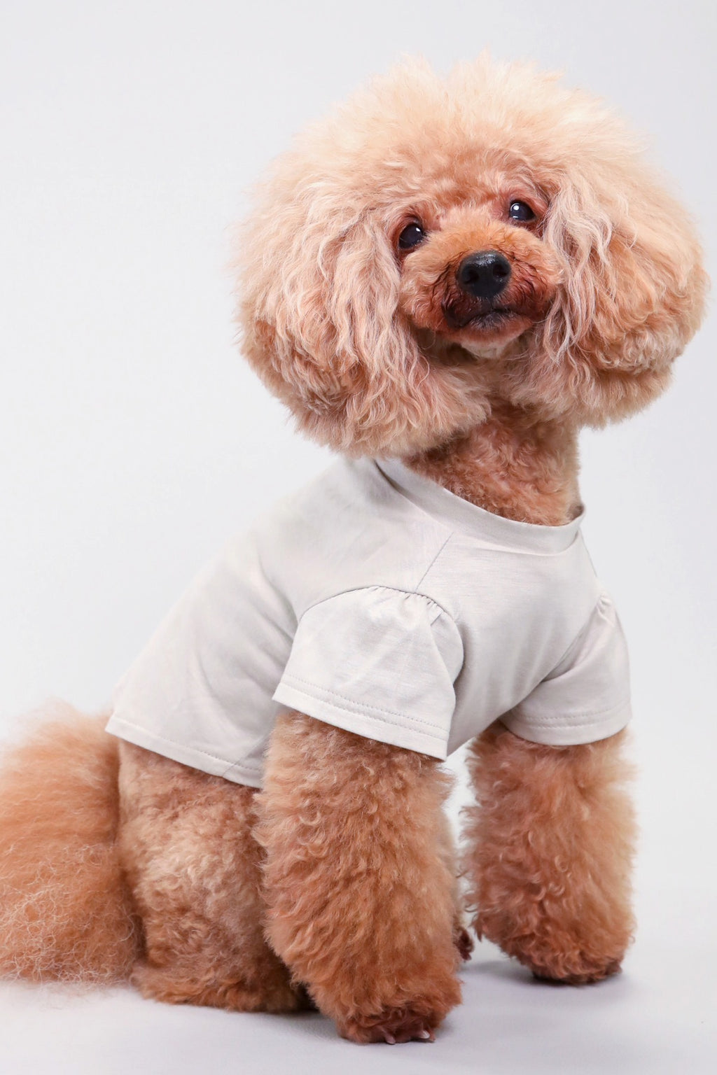 PONODOG Icy Chill Tee Charcoal｜接触冷感素材を使用した日本製の犬服。ゆったりした首まわりと短めのパフスリーブが特徴の、軽くてやわらかなチャコールの犬用Tシャツ。