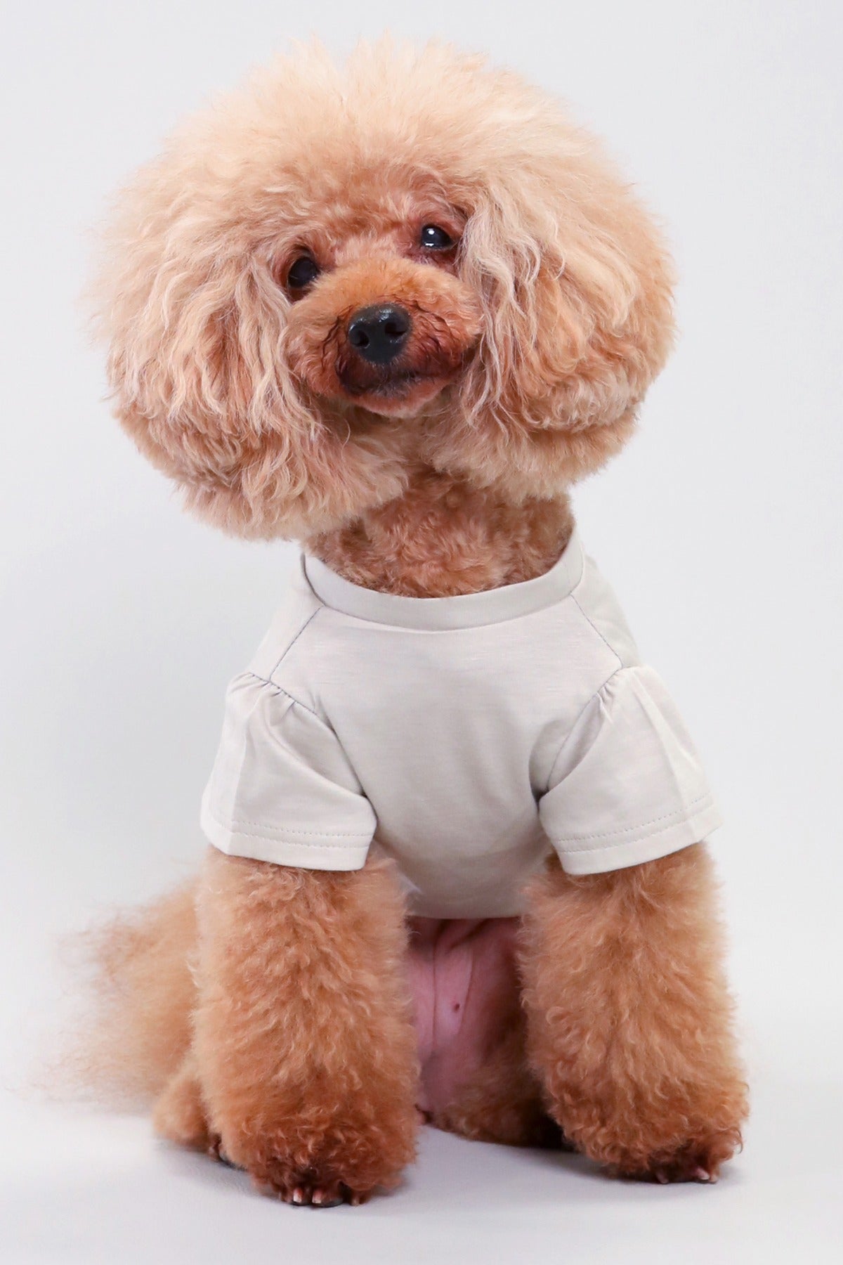 PONODOG Icy Chill Tee Charcoal｜接触冷感素材を使用した日本製の犬服。ゆったりした首まわりと短めのパフスリーブが特徴の、軽くてやわらかなチャコールの犬用Tシャツ。
