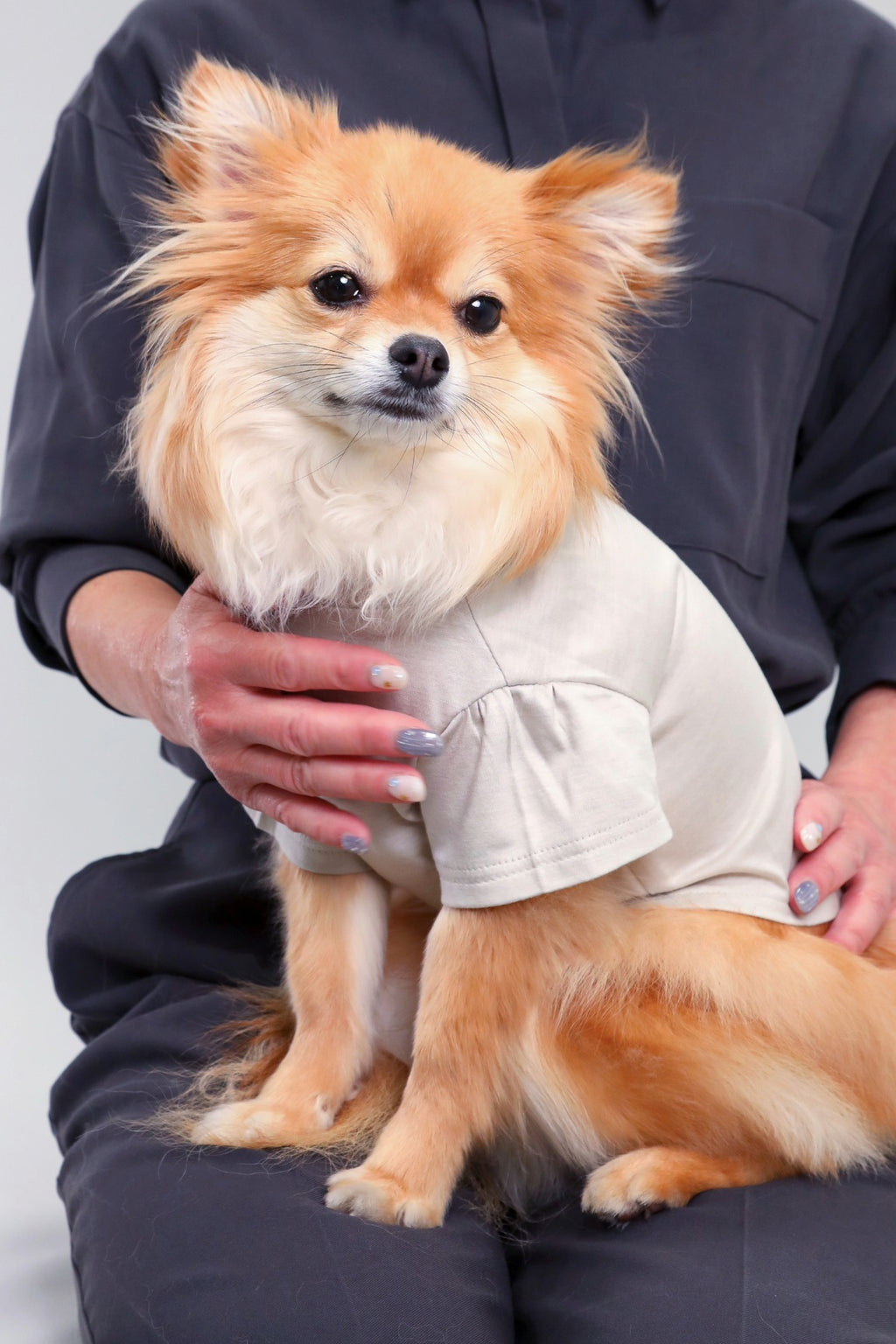 PONODOG Icy Chill Tee Charcoal｜接触冷感素材を使用した日本製の犬服。ゆったりした首まわりと短めのパフスリーブが特徴の、軽くてやわらかなチャコールの犬用Tシャツ。
