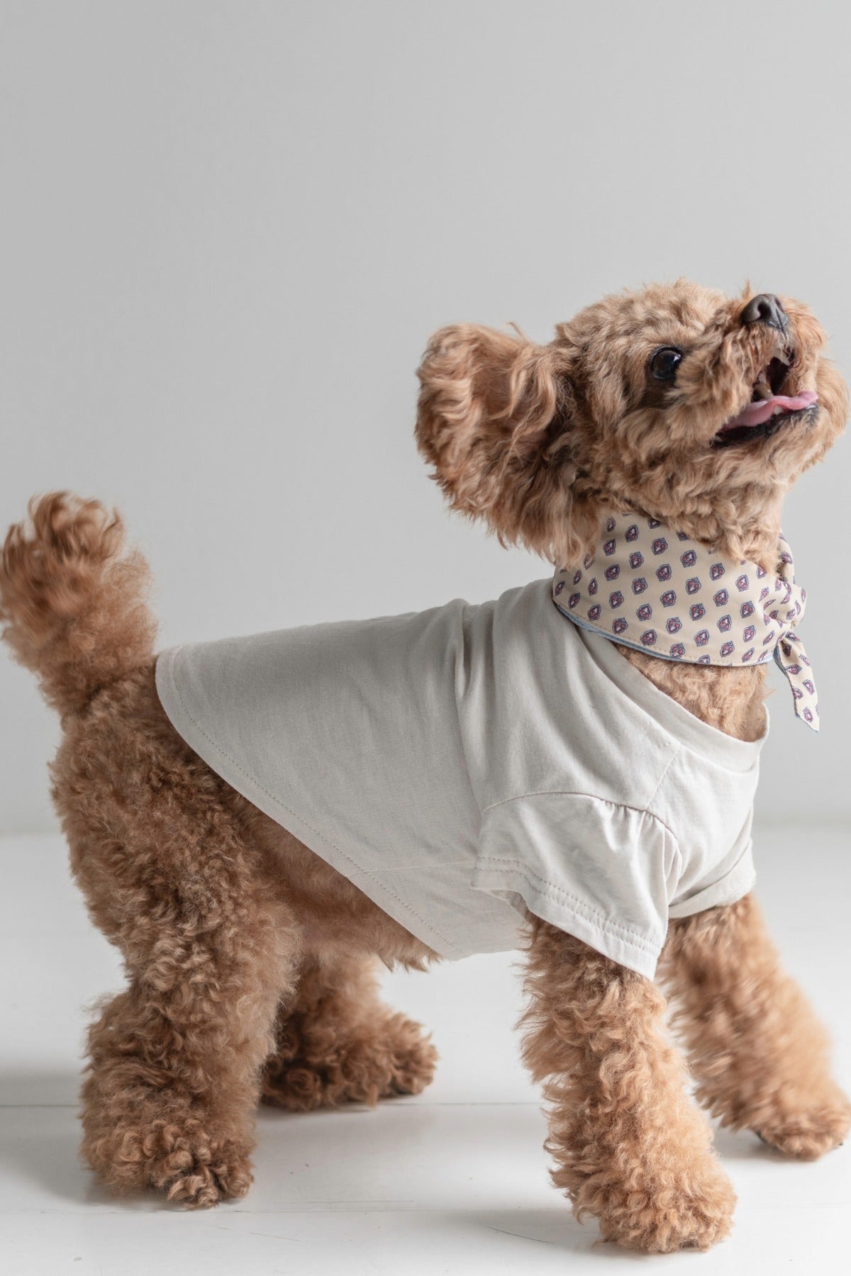 PONODOG Icy Chill Tee Charcoal｜接触冷感素材を使用した日本製の犬服。ゆったりした首まわりと短めのパフスリーブが特徴の、軽くてやわらかなチャコールの犬用Tシャツ。