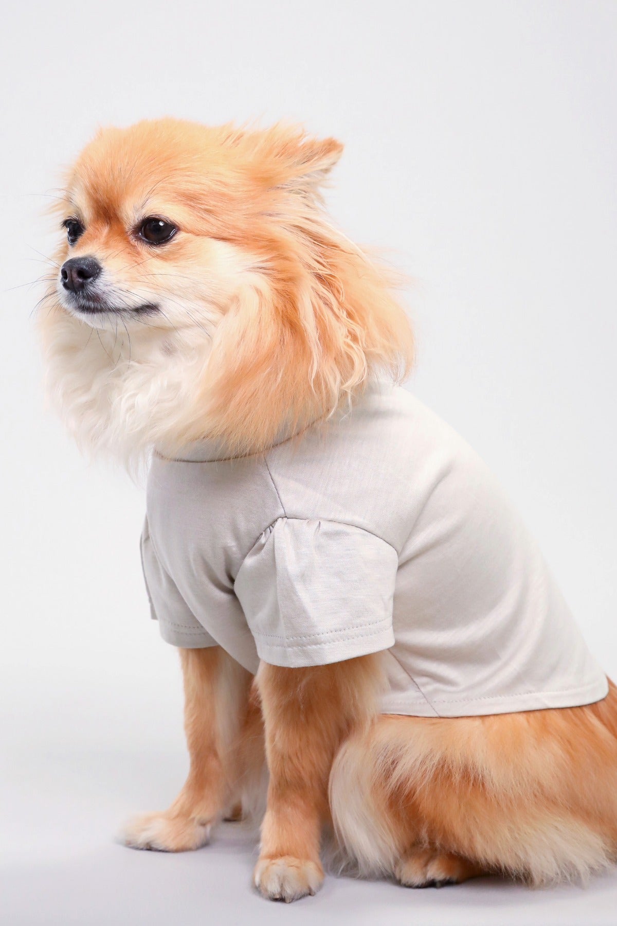 PONODOG Icy Chill Tee Greige｜接触冷感素材を使用した日本製の犬服。ゆったりした首まわりと短めのパフスリーブが特徴の、軽くてやわらかな犬用Tシャツ。