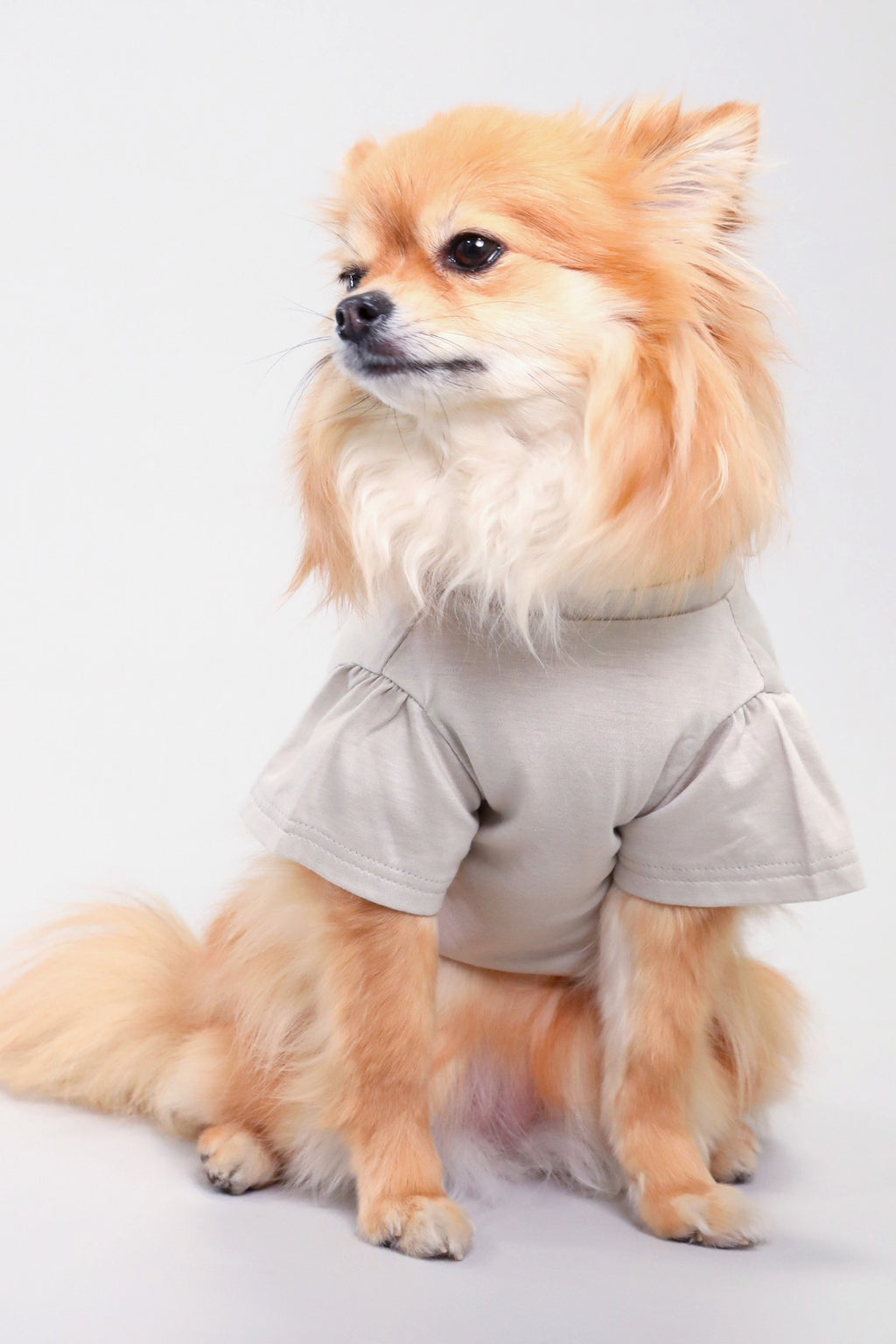 PONODOG Icy Chill Tee Greige｜接触冷感素材を使用した日本製の犬服。ゆったりした首まわりと短めのパフスリーブが特徴の、軽くてやわらかな犬用Tシャツ。