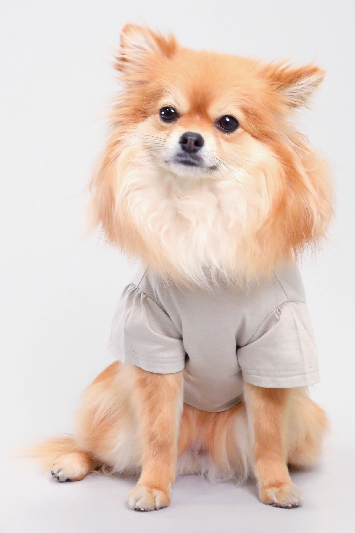 PONODOG Icy Chill Tee Greige｜接触冷感素材を使用した日本製の犬服。ゆったりした首まわりと短めのパフスリーブが特徴の、軽くてやわらかな犬用Tシャツ。