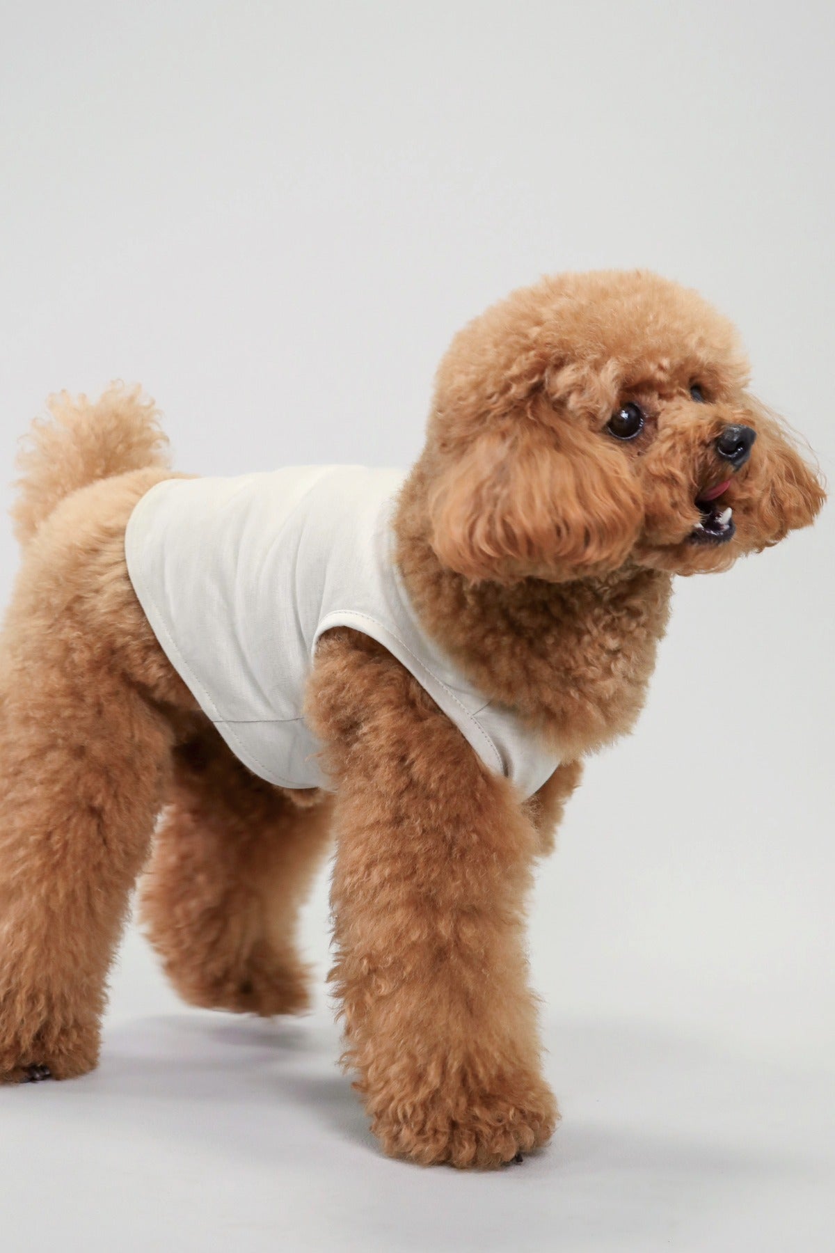 PONODOG Icy Chill Tank チャコール｜シンプルな日本製犬服・接触冷感素材の犬用タンクトップ
