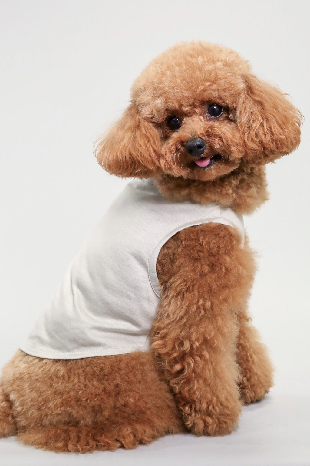 PONODOG Icy Chill Tank チャコール｜シンプルな日本製犬服・接触冷感素材の犬用タンクトップ