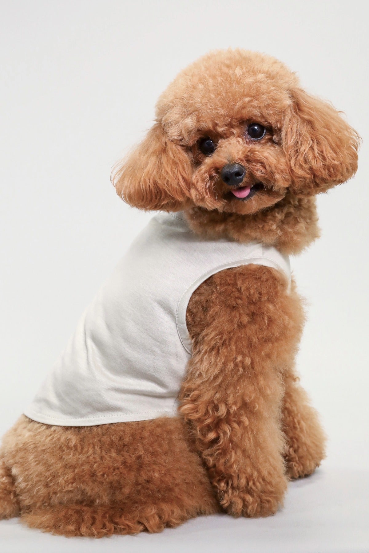 PONODOG Icy Chill Tank チャコール｜シンプルな日本製犬服・接触冷感素材の犬用タンクトップ