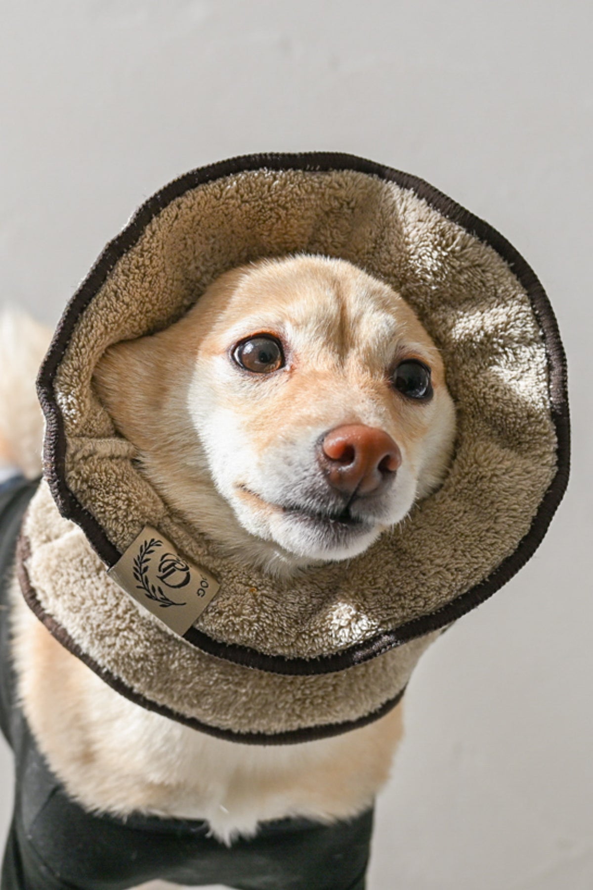 PONODOG Towel Snood（Coffee）｜ドライ時間を快適にする、吸水速乾マイクロファイバー犬用タオルスヌード