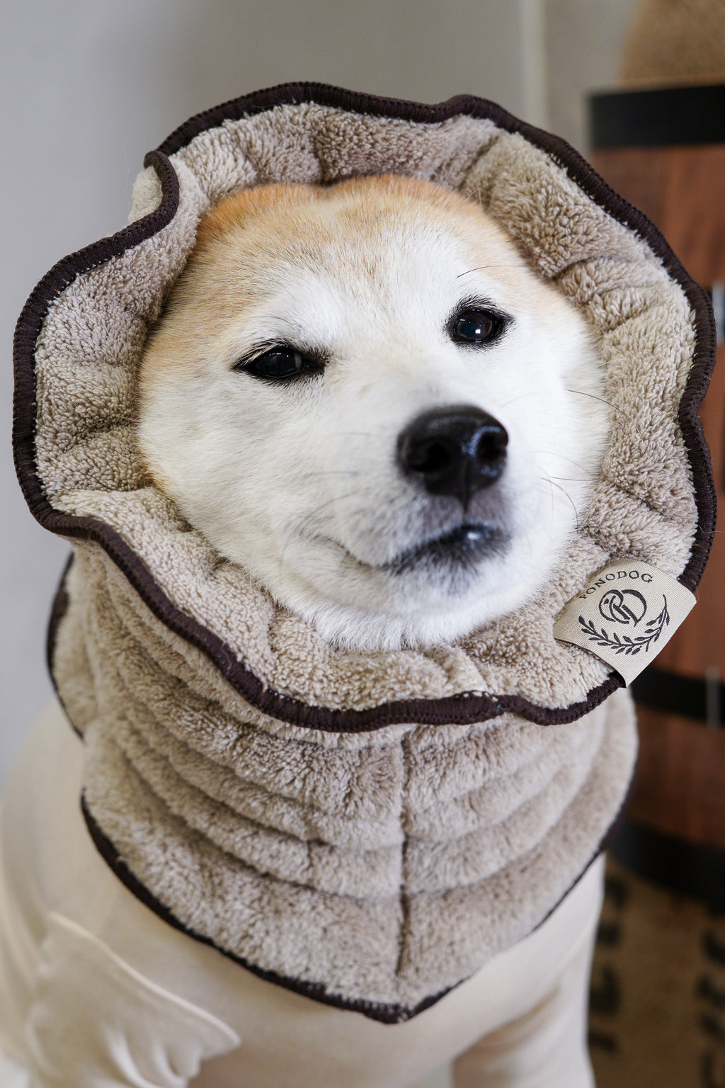 PONODOG Towel Snood（Coffee）｜ドライ時間を快適にする、吸水速乾マイクロファイバー犬用タオルスヌード