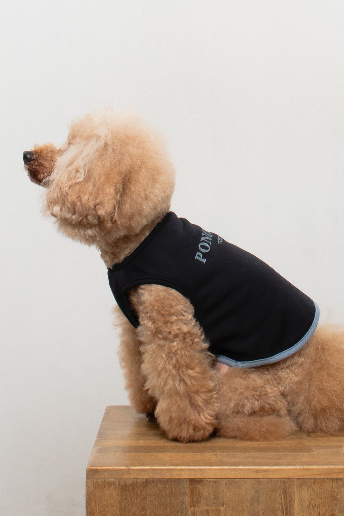 PONODOG Warm Logo Sweat Black｜日本製のシンプルな犬服・吸湿発熱機能を備えた裏起毛スウェット