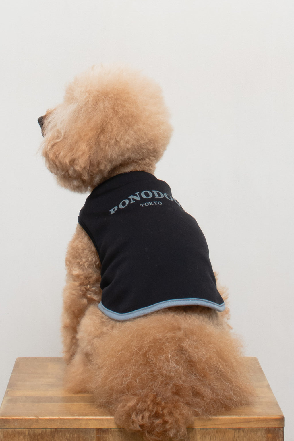 PONODOG Warm Logo Sweat Black｜日本製のシンプルな犬服・吸湿発熱機能を備えた裏起毛スウェット