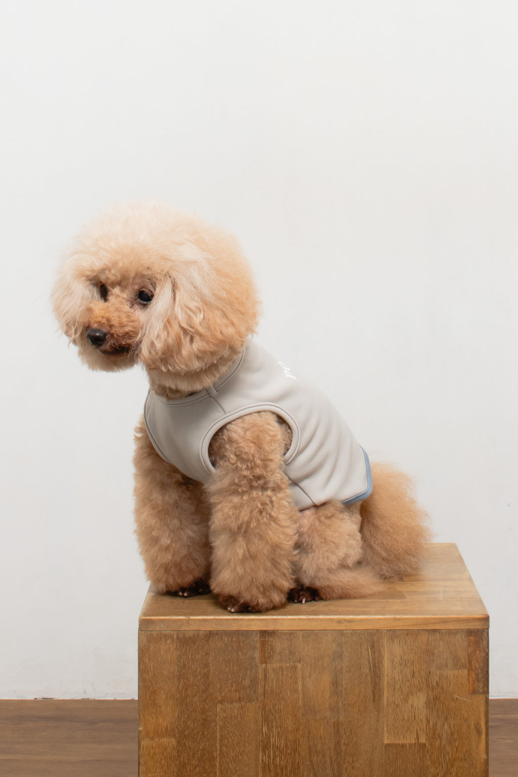 PONODOG Warm Logo Sweat Grey｜日本製のシンプルな犬服・吸湿発熱機能を備えた裏起毛スウェット