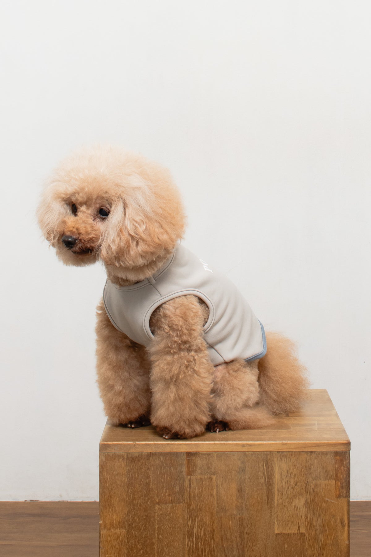 PONODOG Warm Logo Sweat Grey｜日本製のシンプルな犬服・吸湿発熱機能を備えた裏起毛スウェット