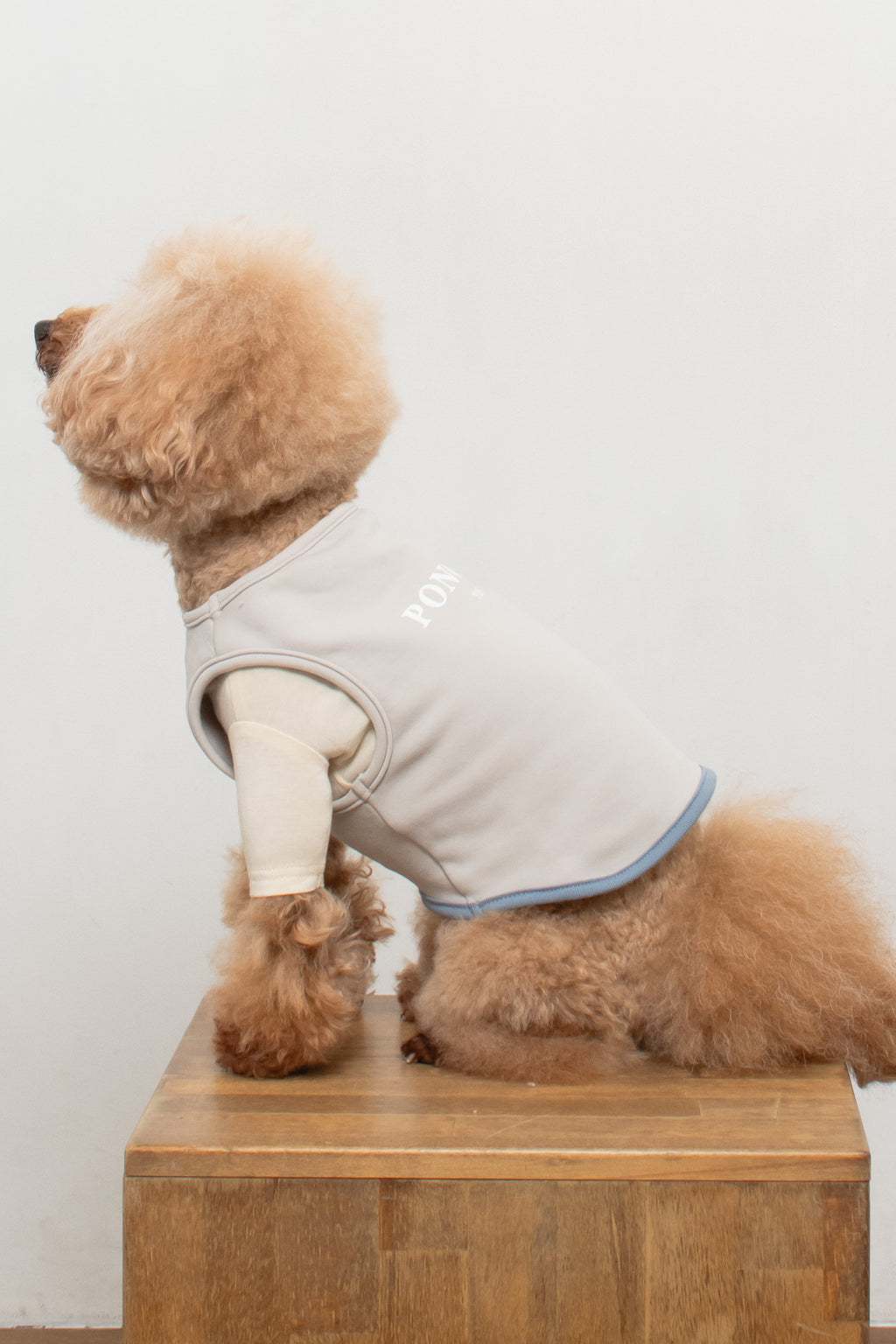 PONODOG Warm Logo Sweat Grey｜日本製のシンプルな犬服・吸湿発熱機能を備えた裏起毛スウェット