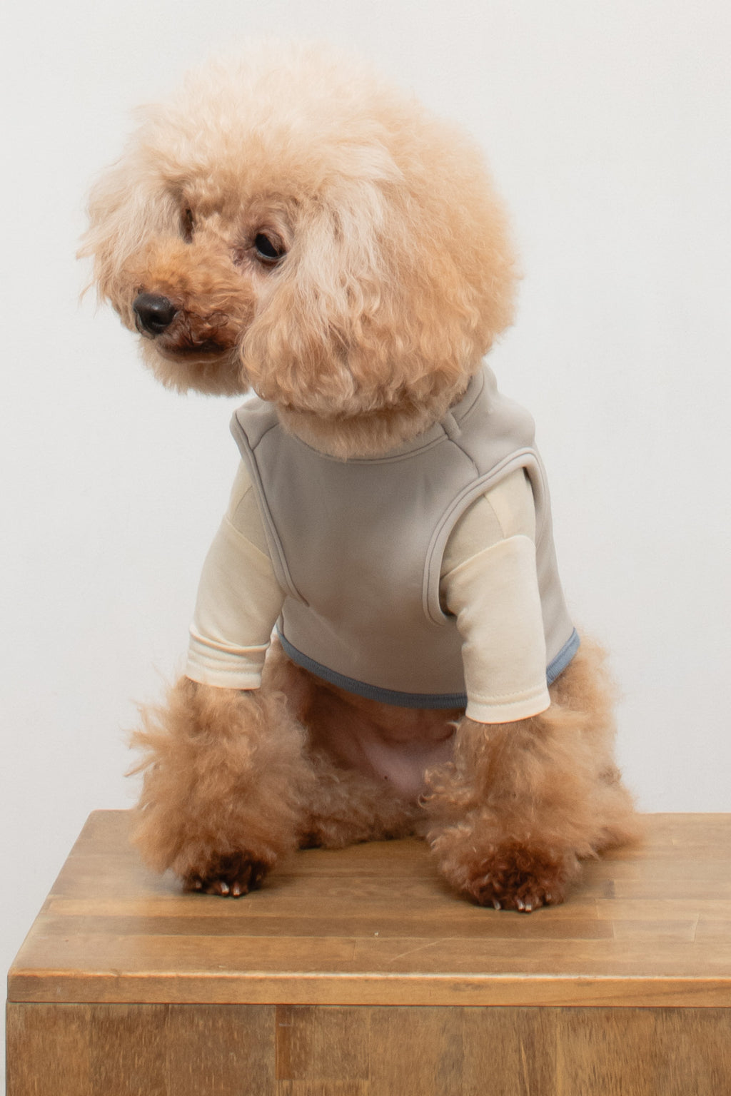 Warm Logo Sweat - Grey × Blue Grey ｜やわらかな裏起毛ロゴスウェット
