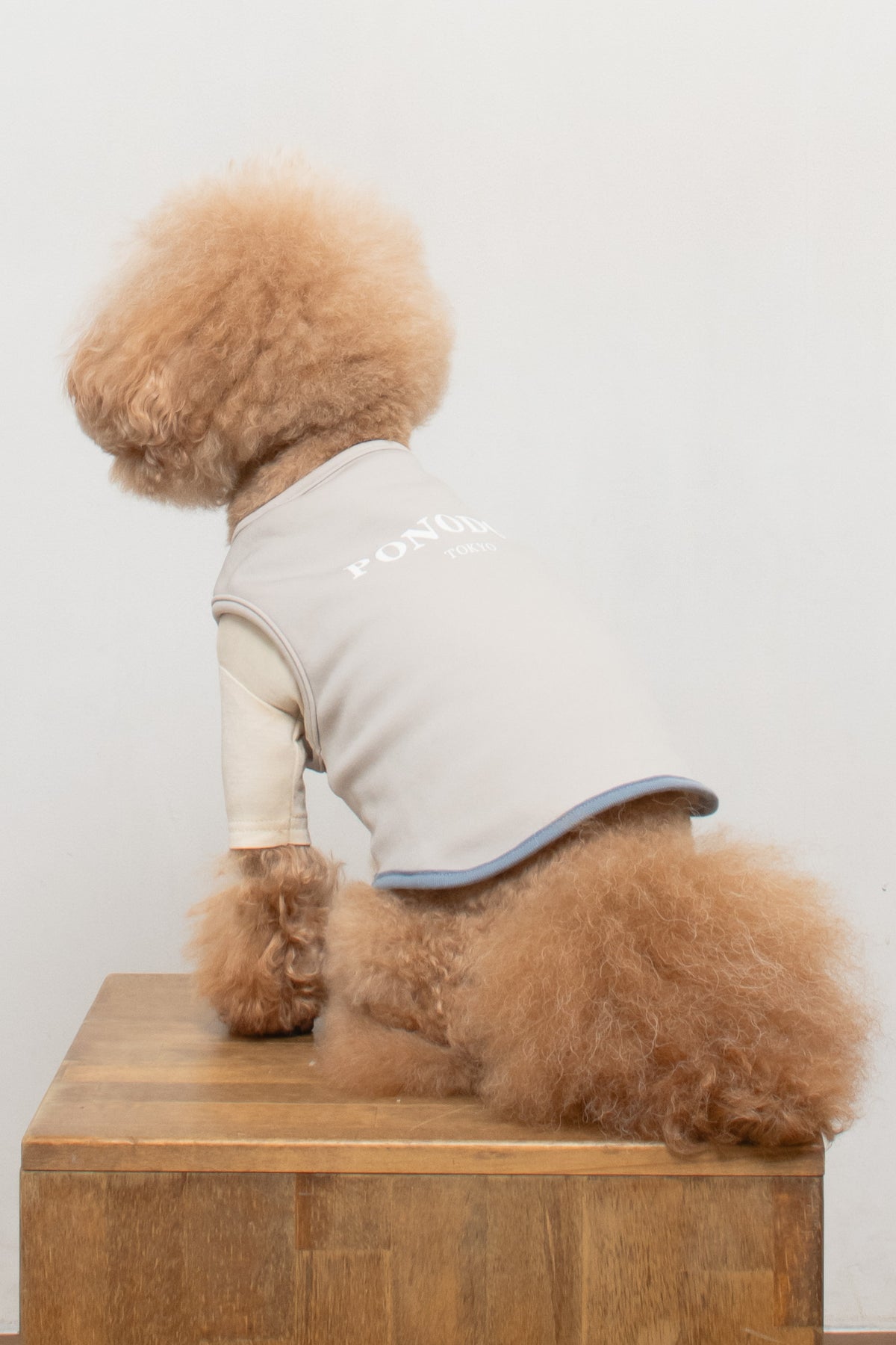 Warm Logo Sweat - Grey × Blue Grey ｜やわらかな裏起毛ロゴスウェット
