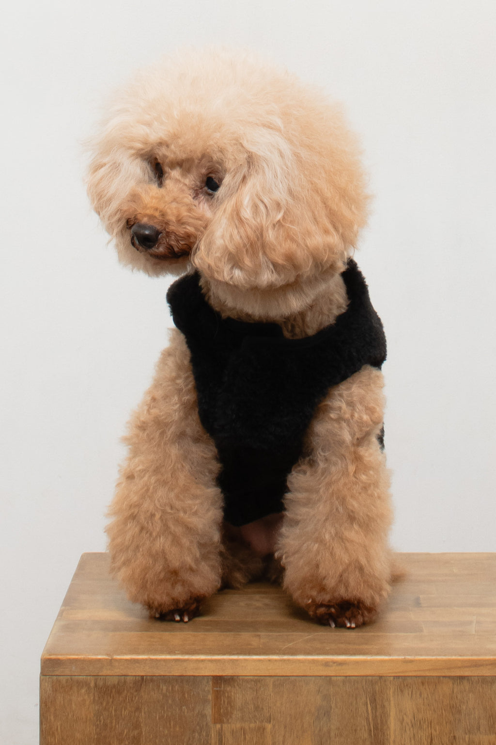 Puff Vest Black｜犬 服 ボア ベスト ドッグウェア 冬 防寒
