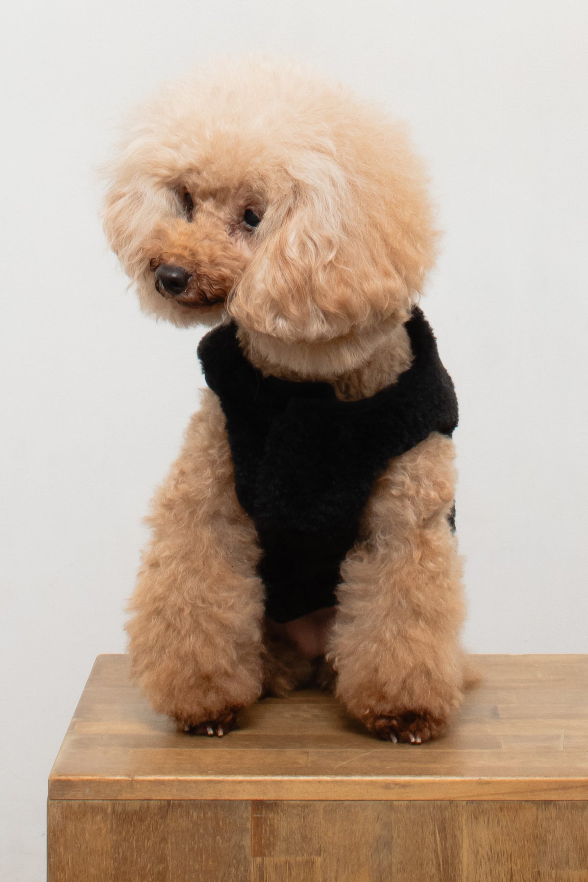 Puff Vest Black｜犬 服 ボア ベスト ドッグウェア 冬 防寒