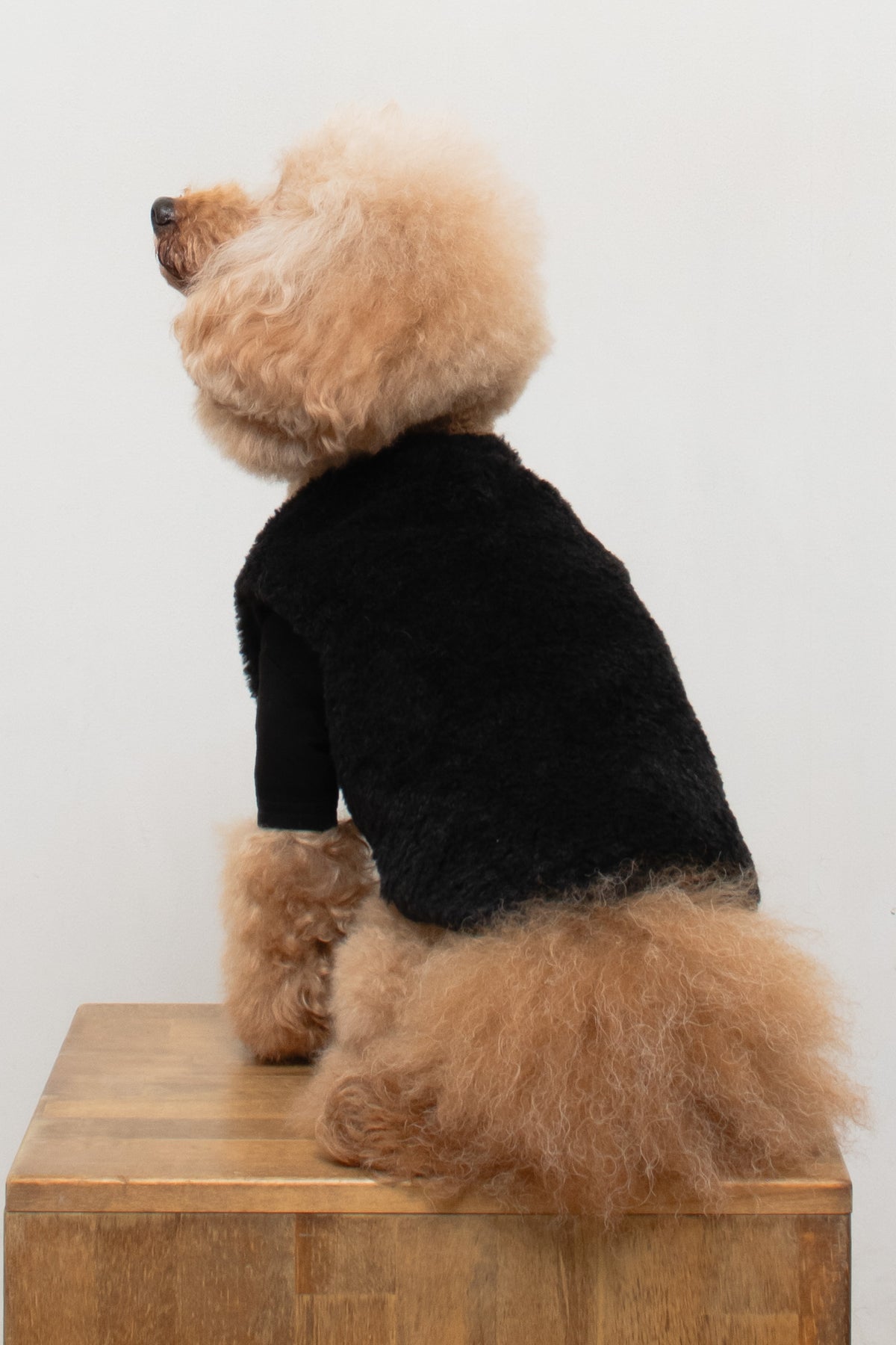 Puff Vest Black｜犬 服 ボア ベスト ドッグウェア 冬 防寒