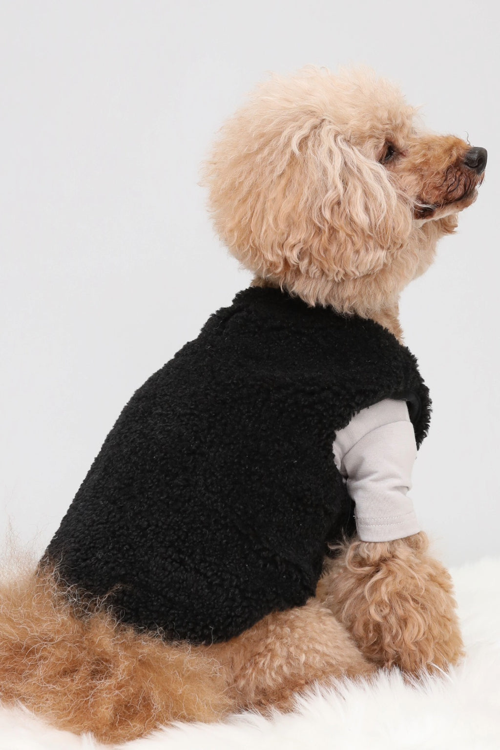 Puff Vest Black｜犬 服 ボア ベスト ドッグウェア 冬 防寒