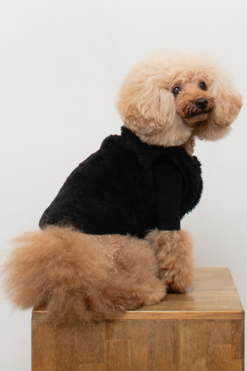 Puff Vest Black｜犬 服 ボア ベスト ドッグウェア 冬 防寒